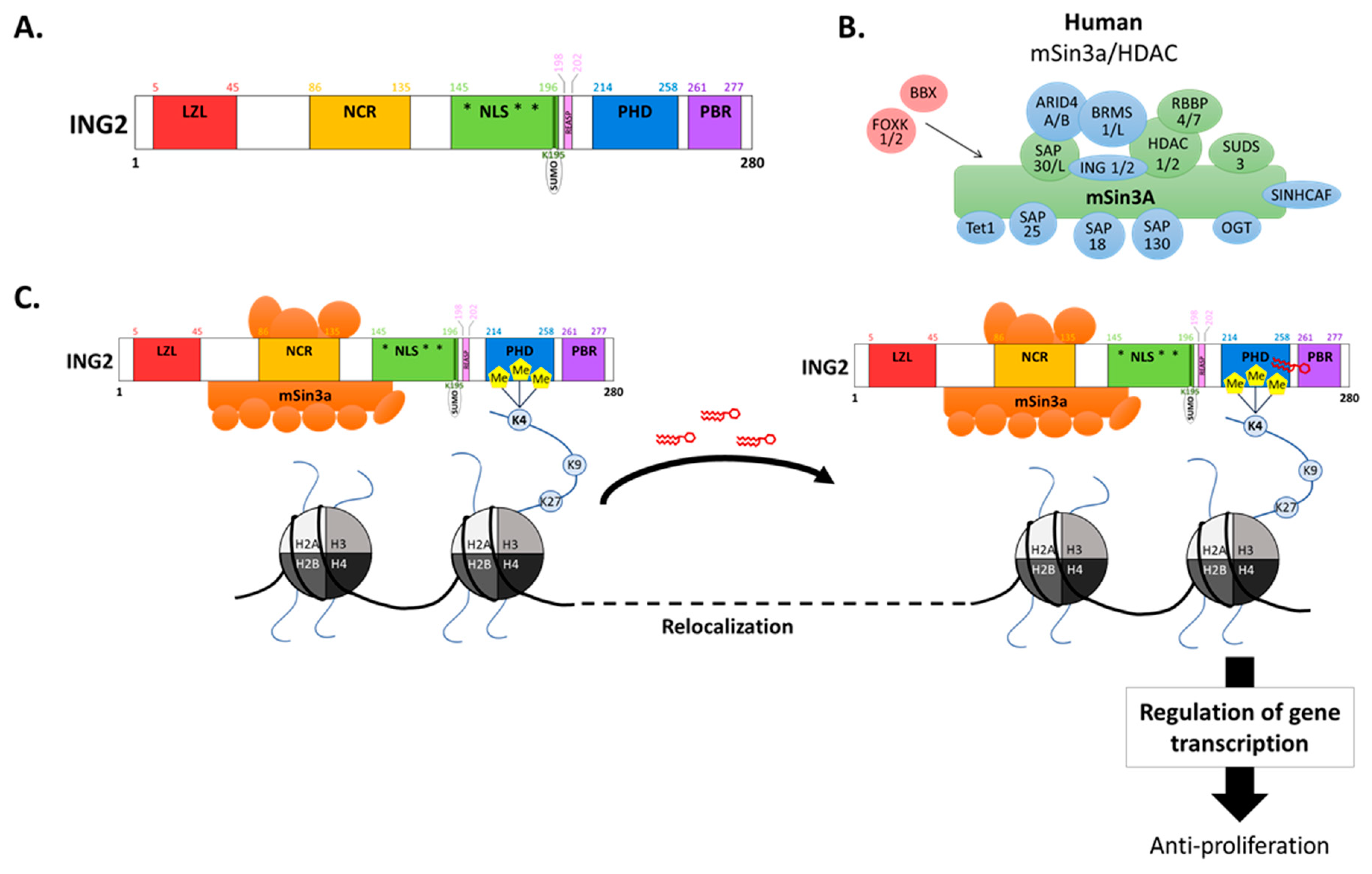Cancers 11 01601 g001 Cancers 11 01601 g001