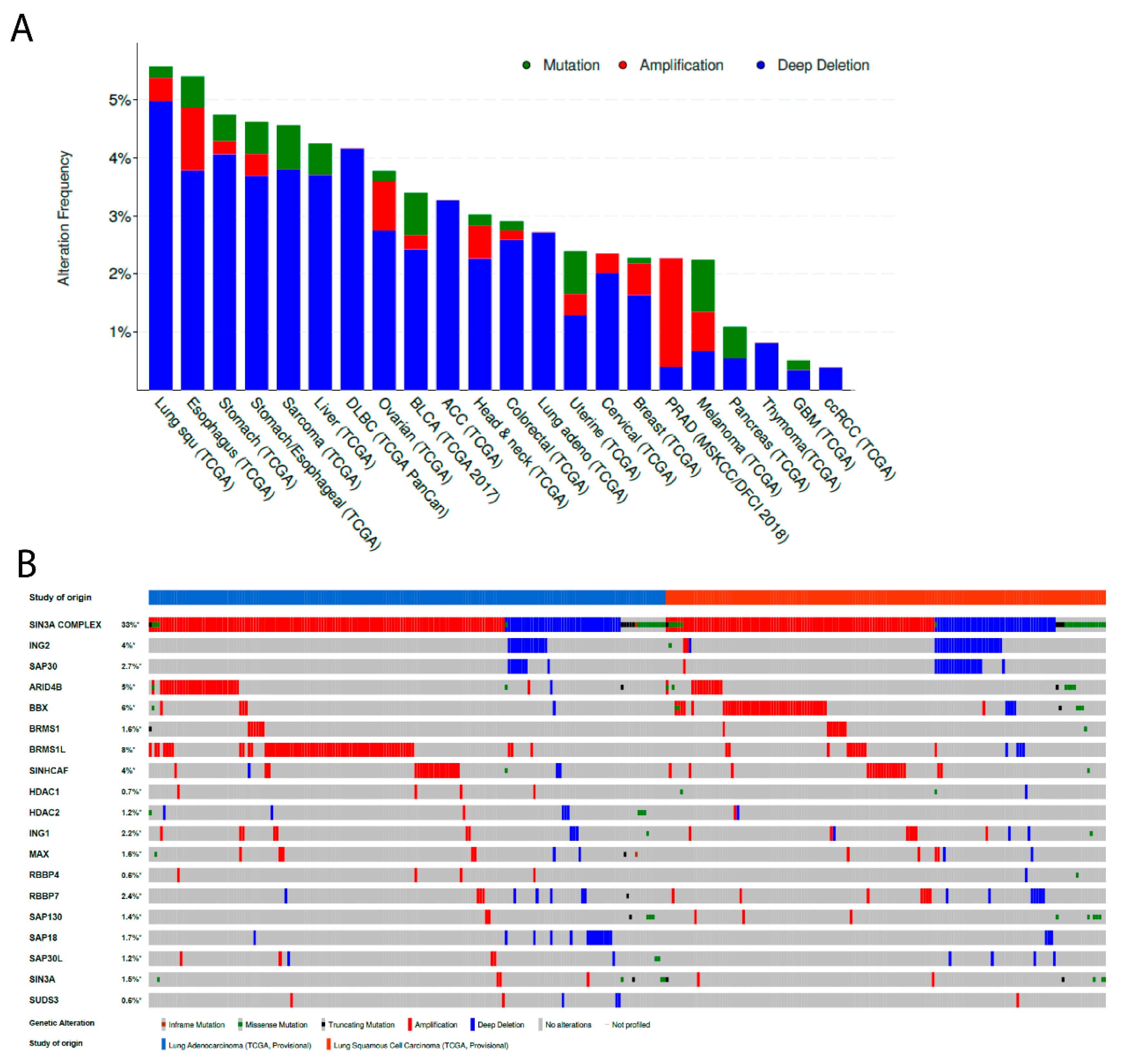 Cancers 11 01601 g002 Cancers 11 01601 g002
