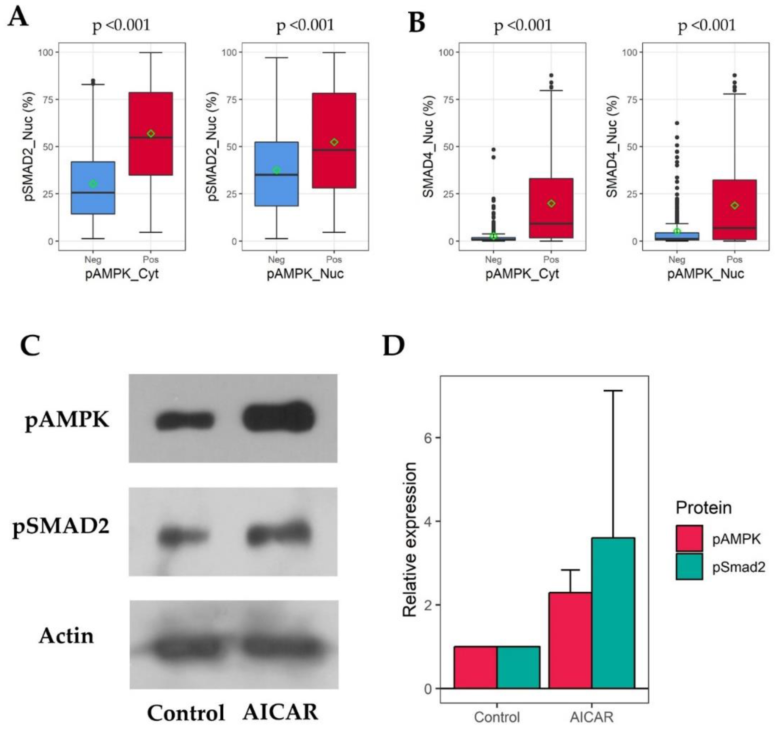 Cancers 11 01602 g003 Cancers 11 01602 g003