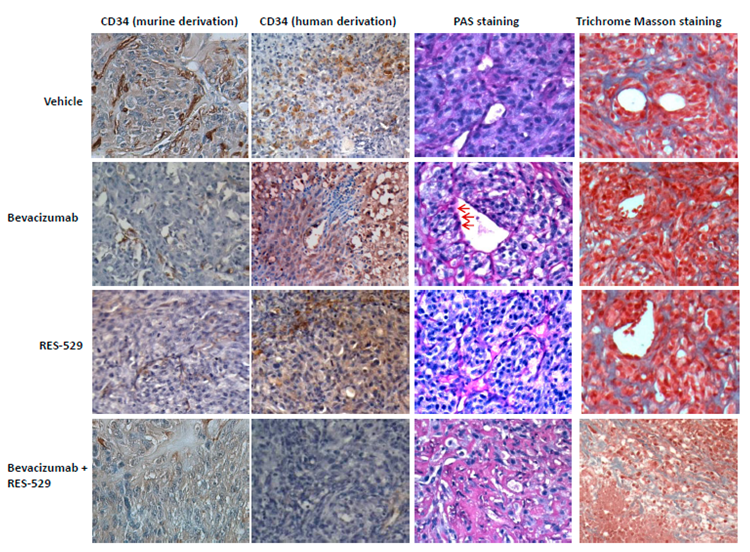 Cancers 11 01604 g006