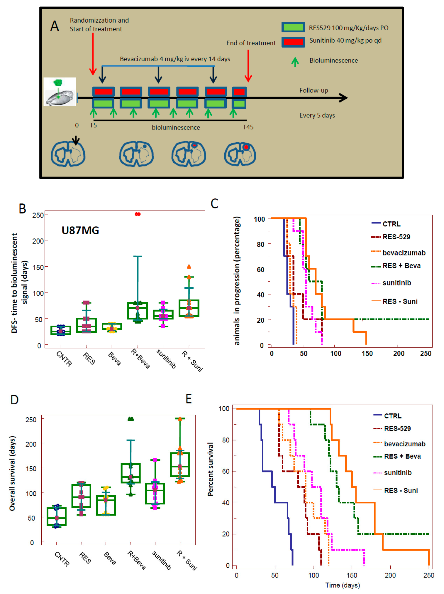 Cancers 11 01604 g007