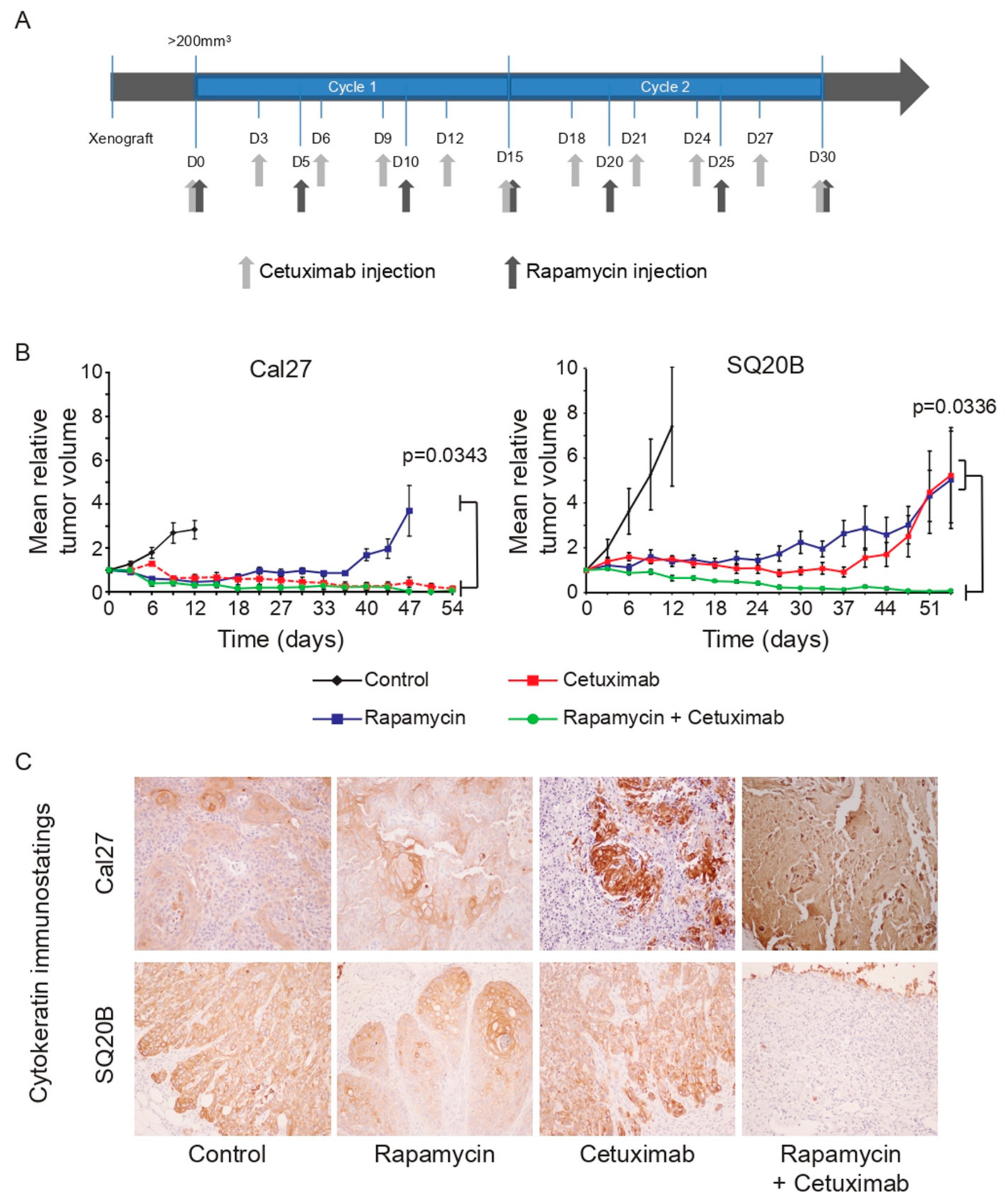 Cancers 11 01607 g001 Cancers 11 01607 g001