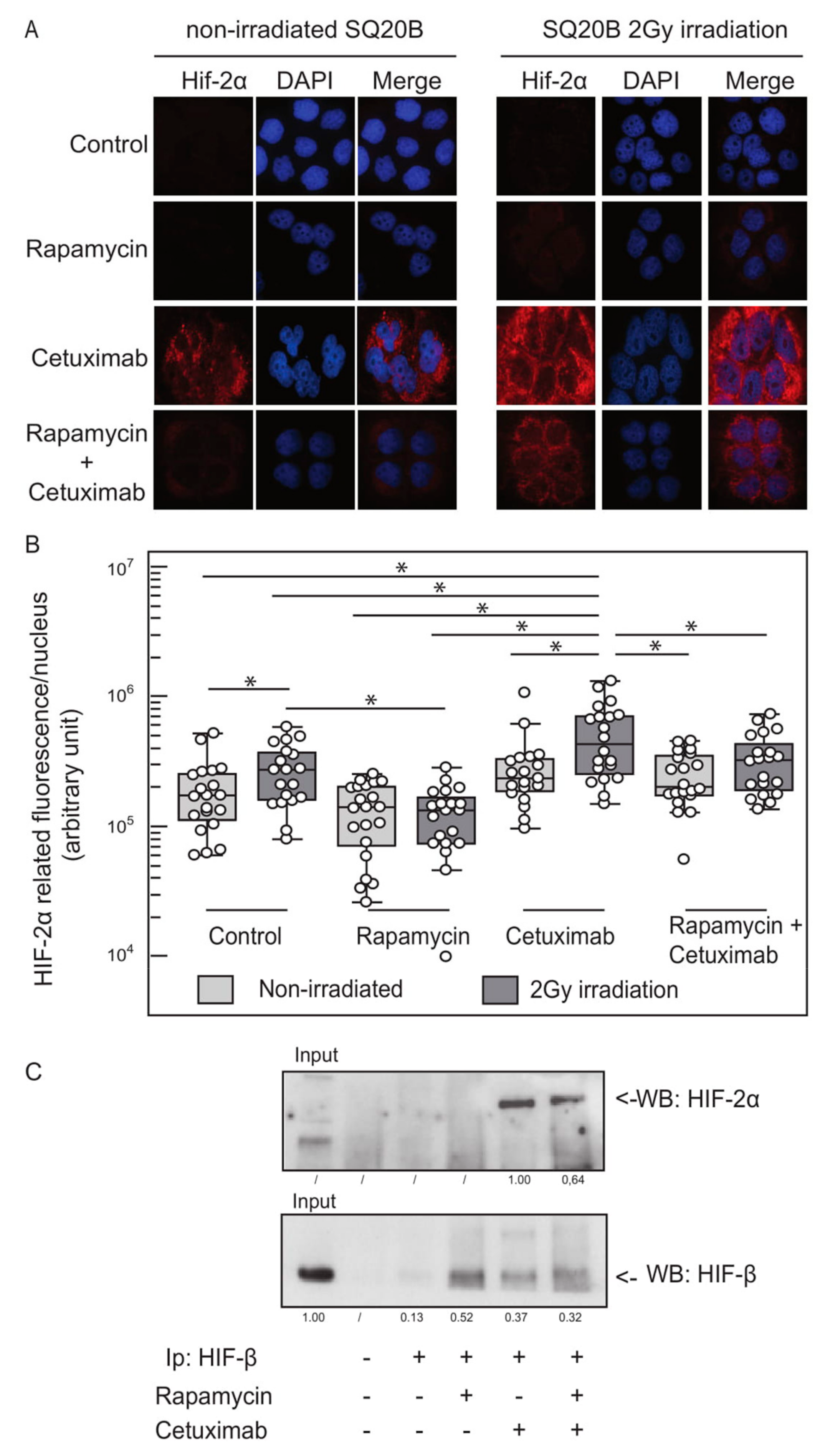 Cancers 11 01607 g003 Cancers 11 01607 g003