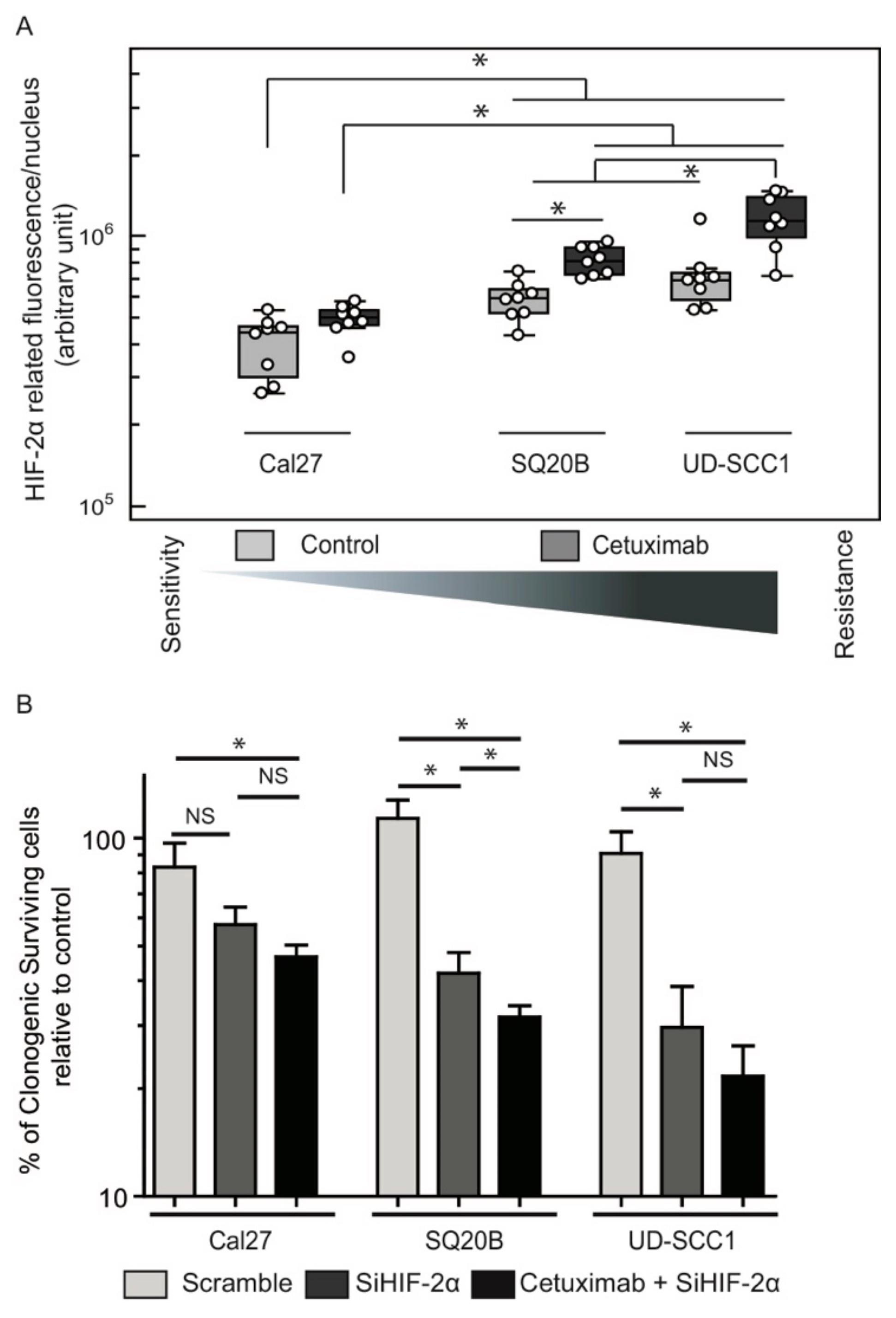 Cancers 11 01607 g004 Cancers 11 01607 g004