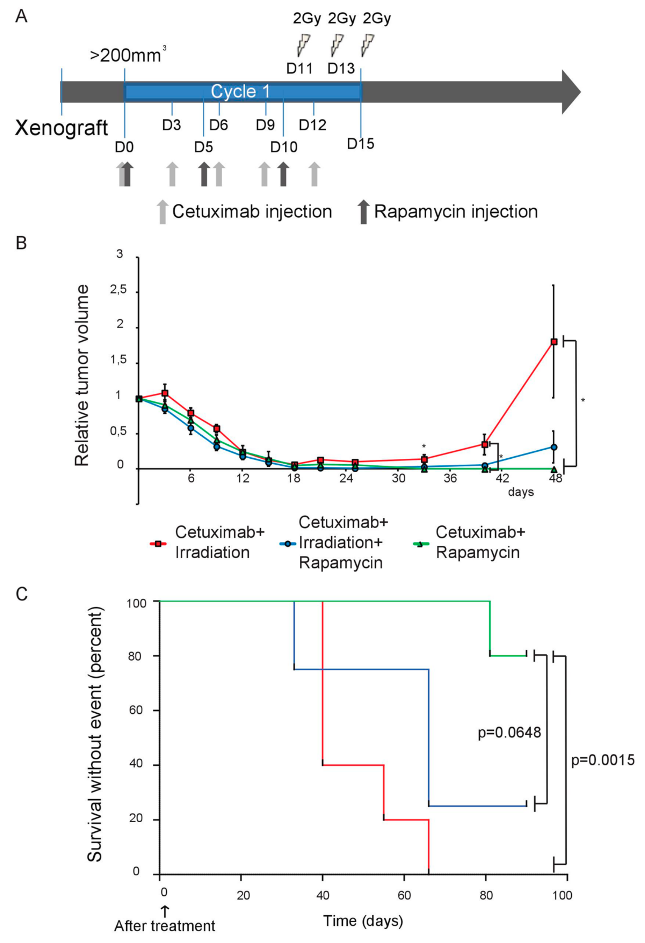 Cancers 11 01607 g005 Cancers 11 01607 g005