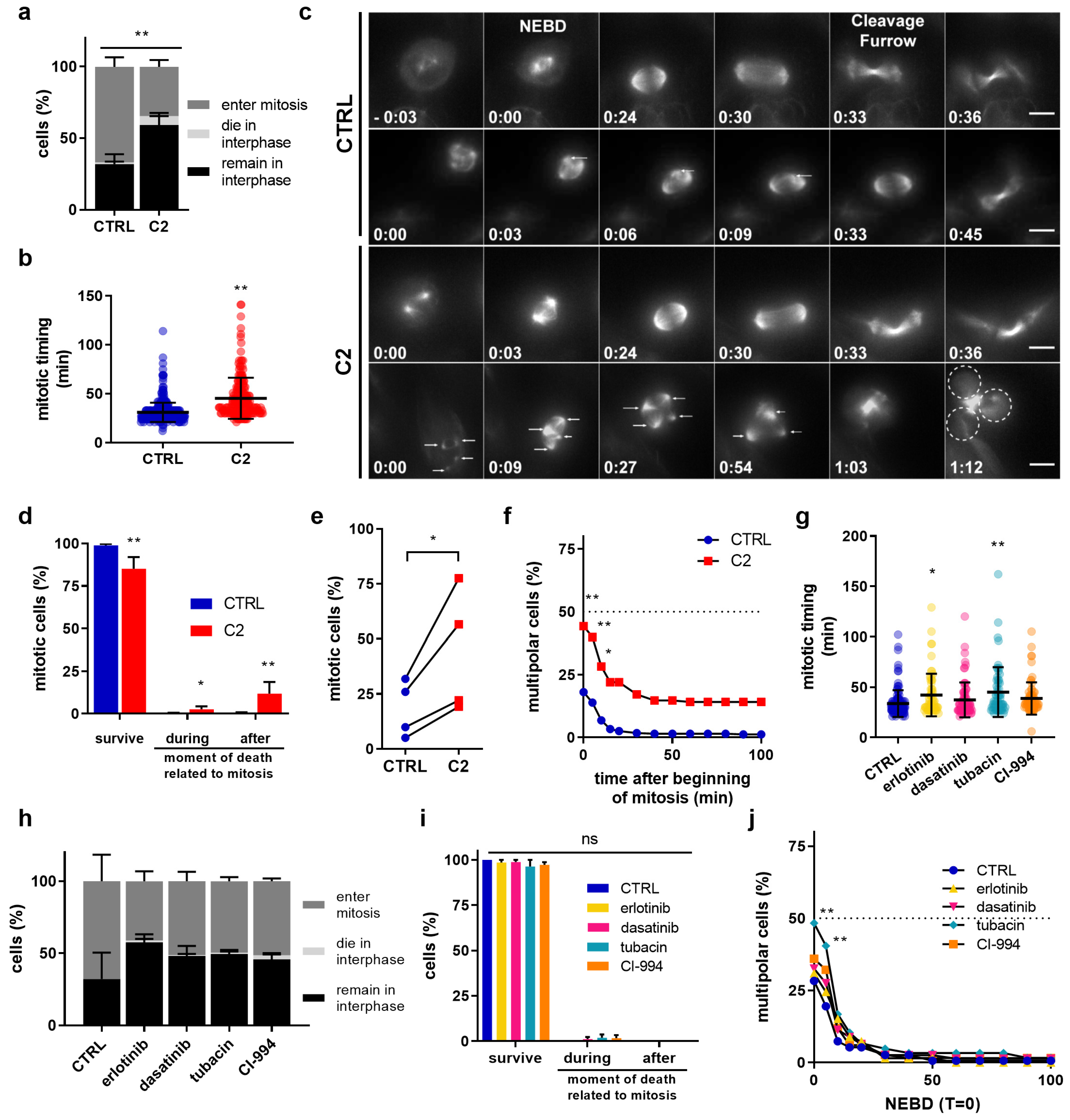 Cancers 11 01612 g003