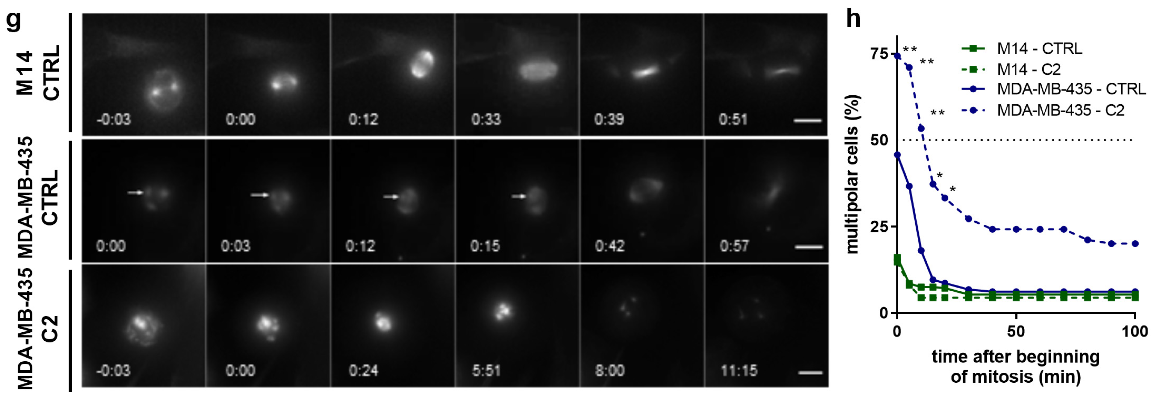 Cancers 11 01612 g005b