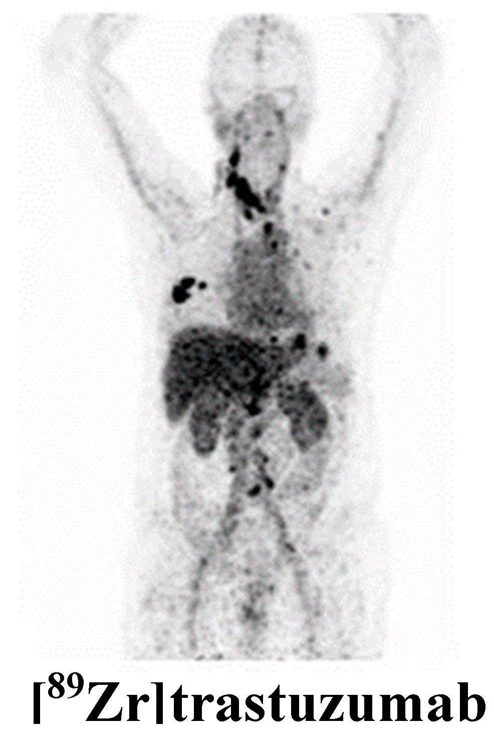 Cancers 11 01614 g002 Cancers 11 01614 g002