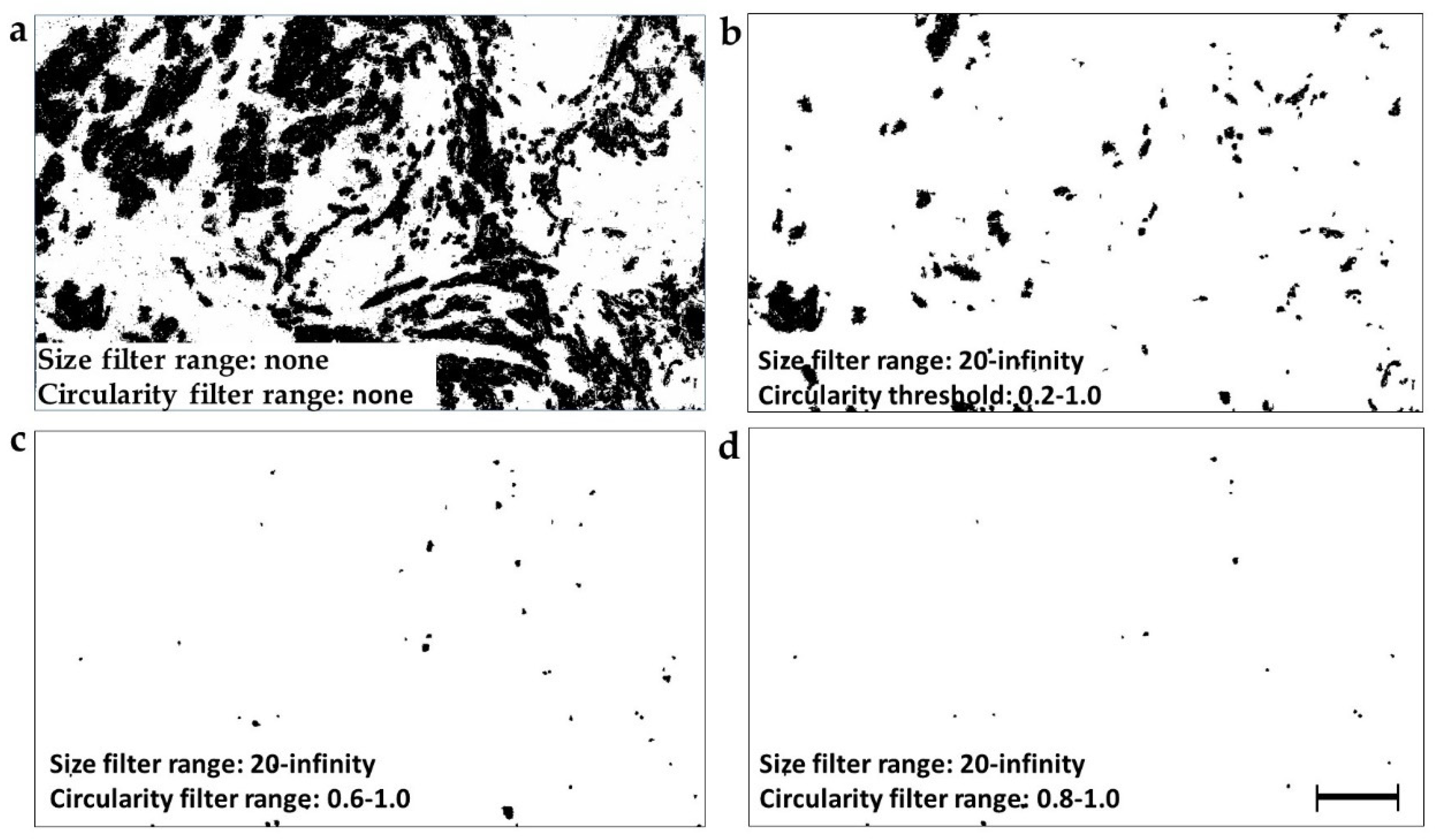 Cancers 11 01615 g002 Cancers 11 01615 g002