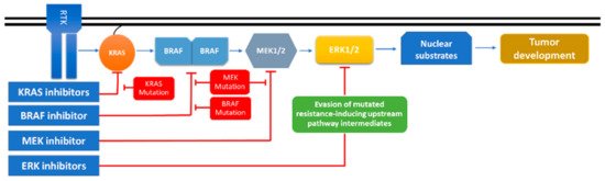 Catalog of Strategies
英語版 A Comprehensive Review on MAPK: A Promising Therapeutic