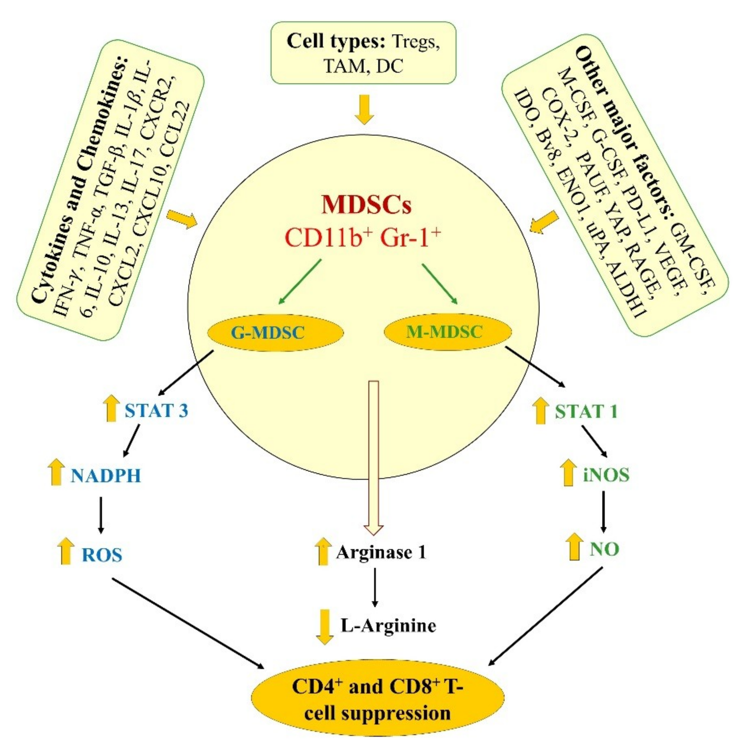 Cancers 11 01627 g002