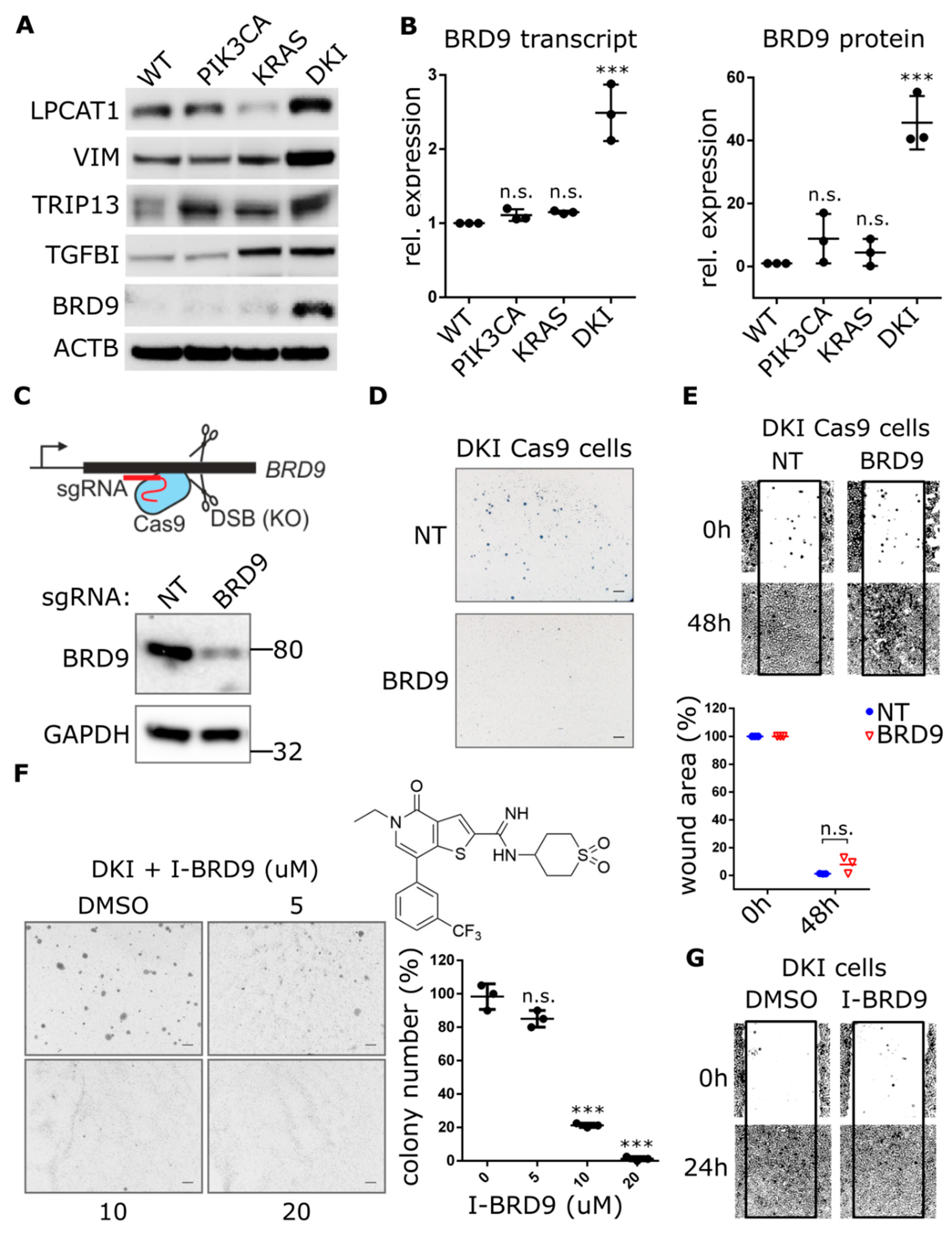 Cancers 11 01634 g003