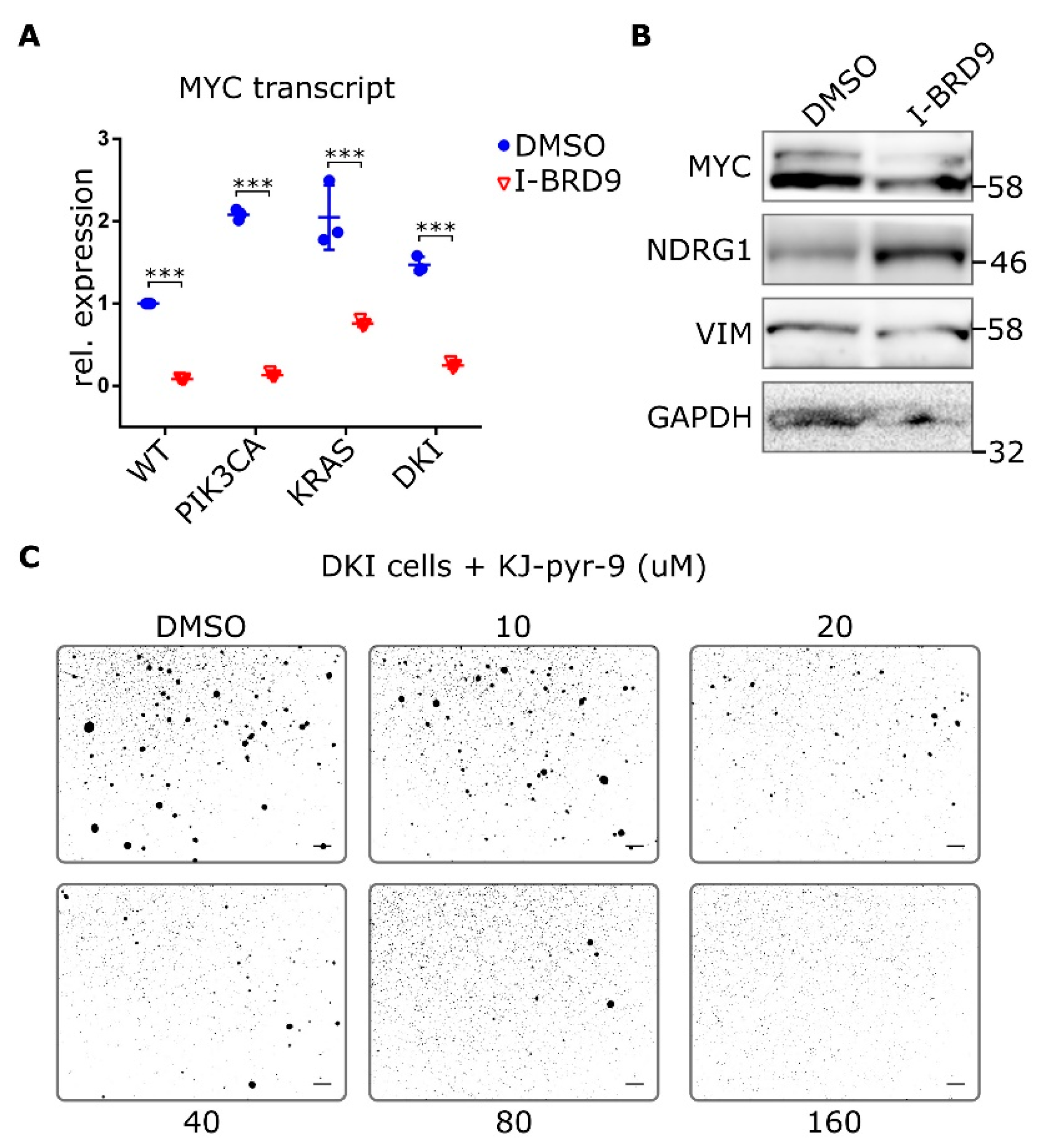 Cancers 11 01634 g006