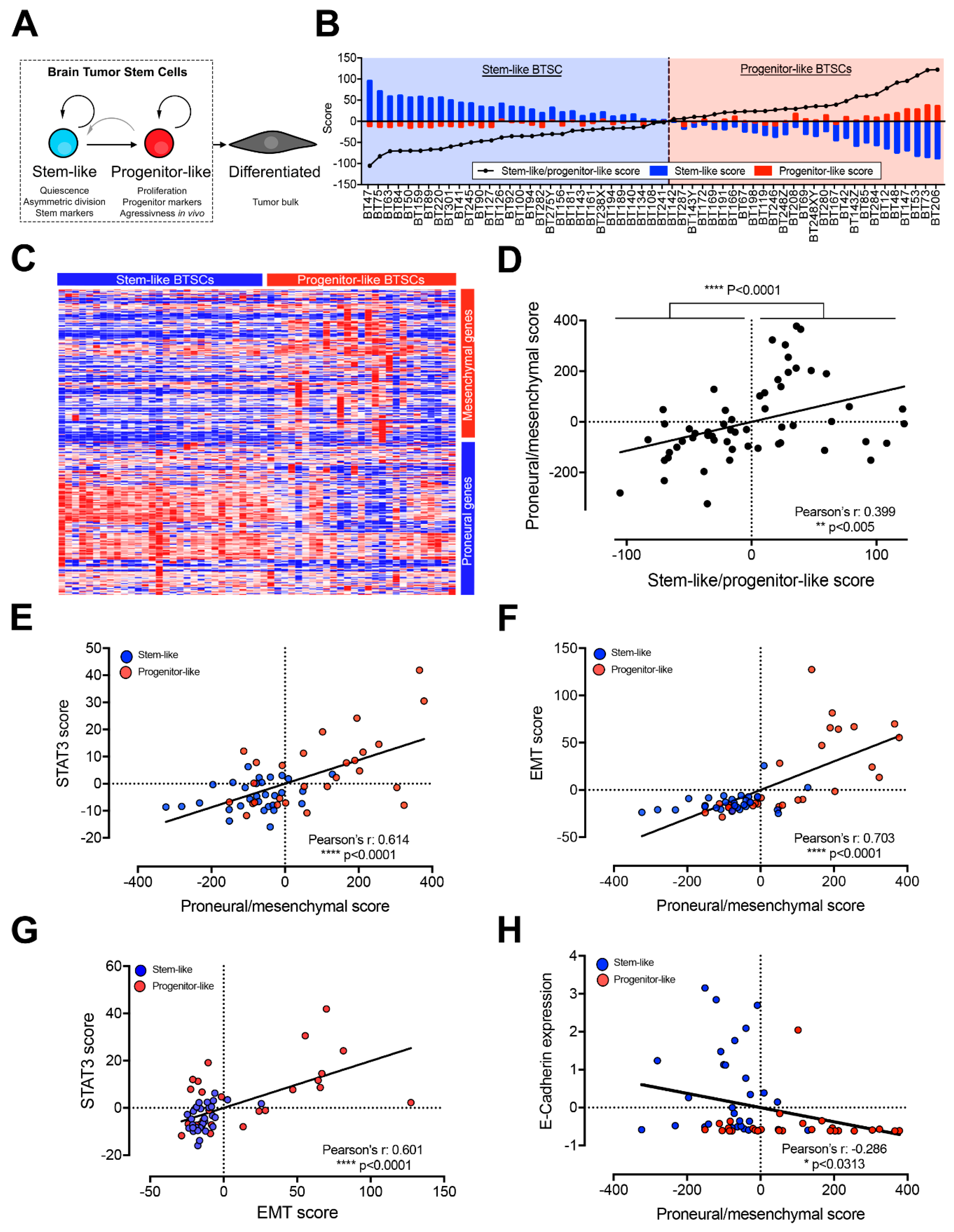 Cancers 11 01635 g001