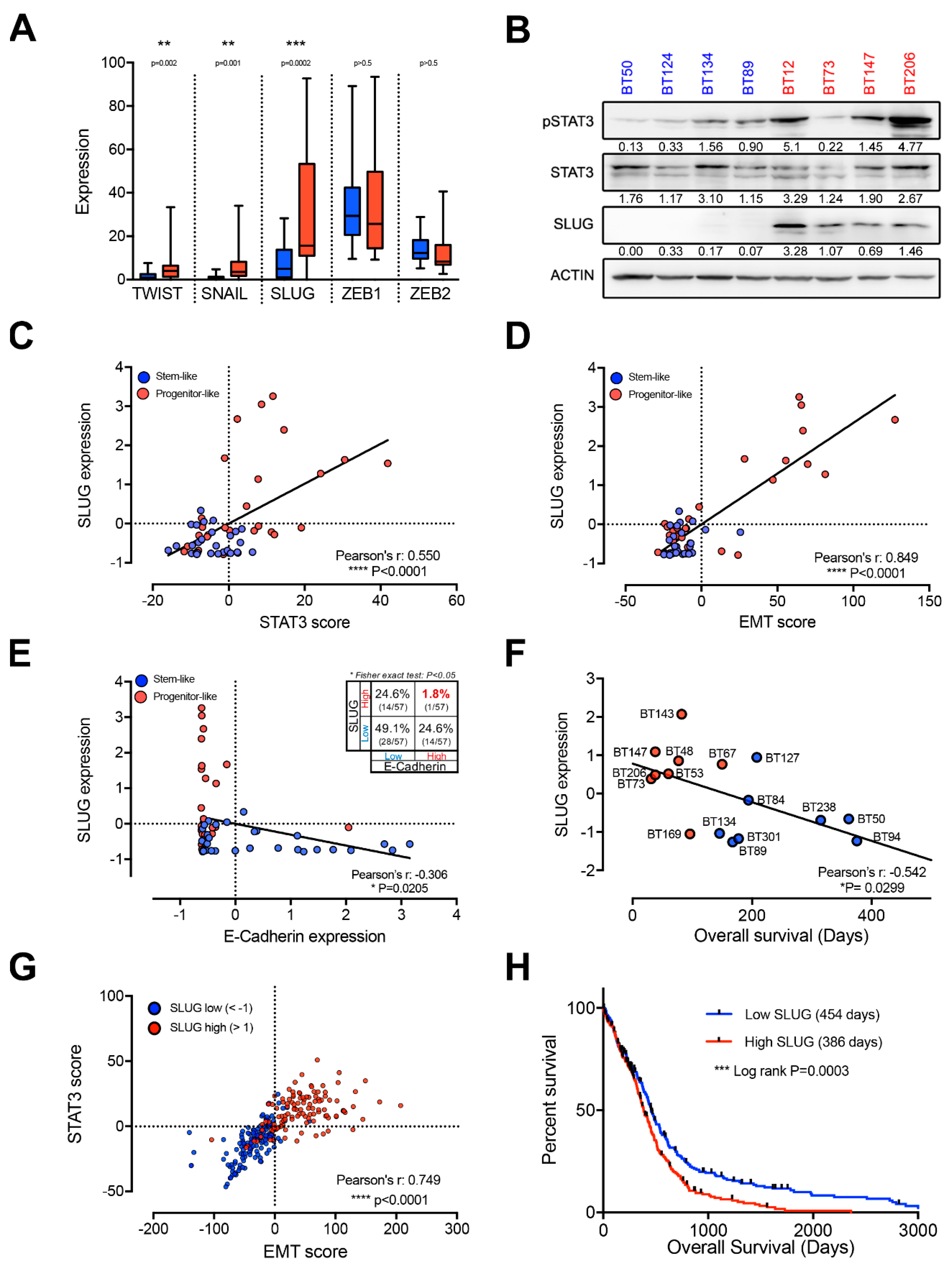Cancers 11 01635 g002