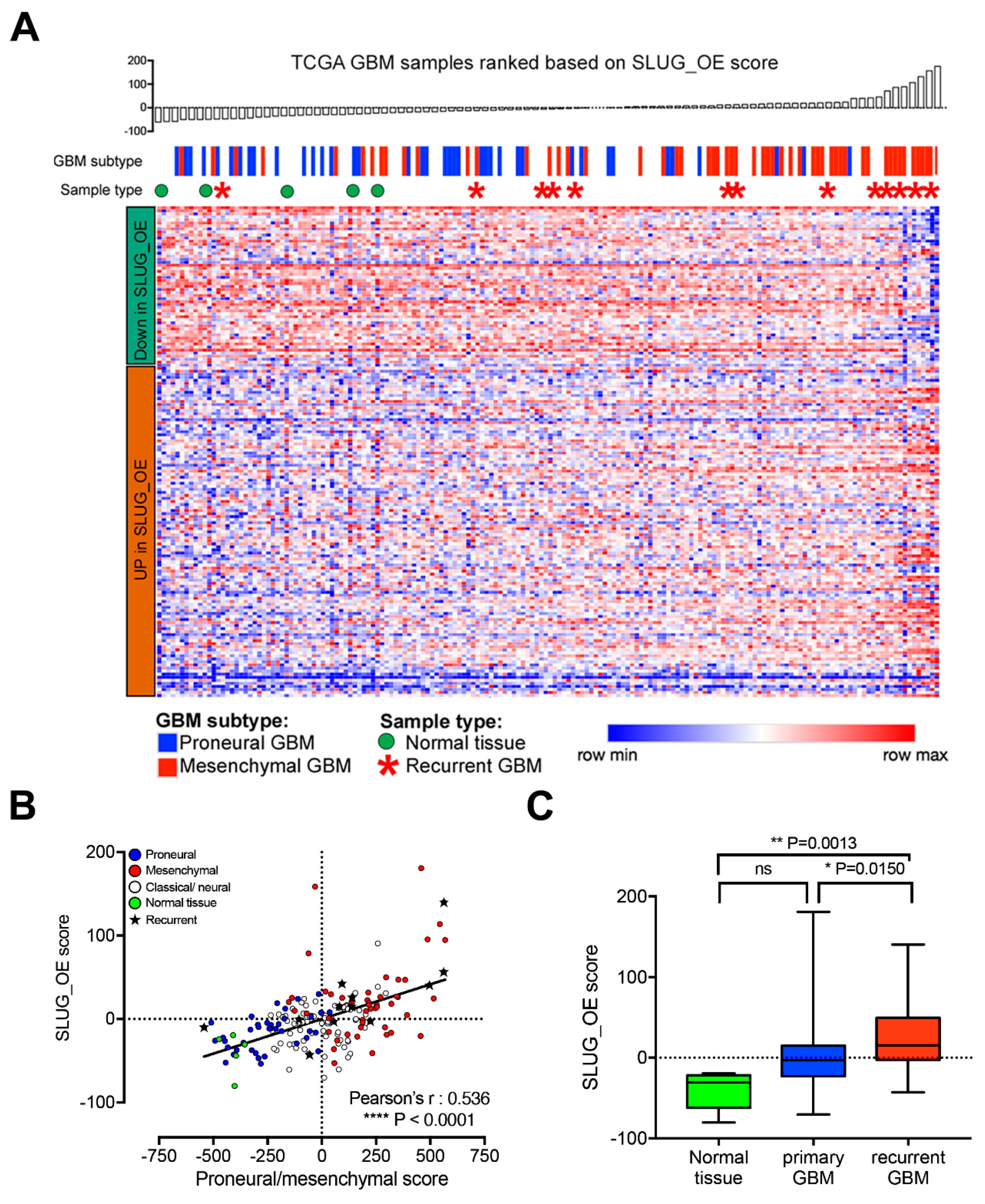 Cancers 11 01635 g008
