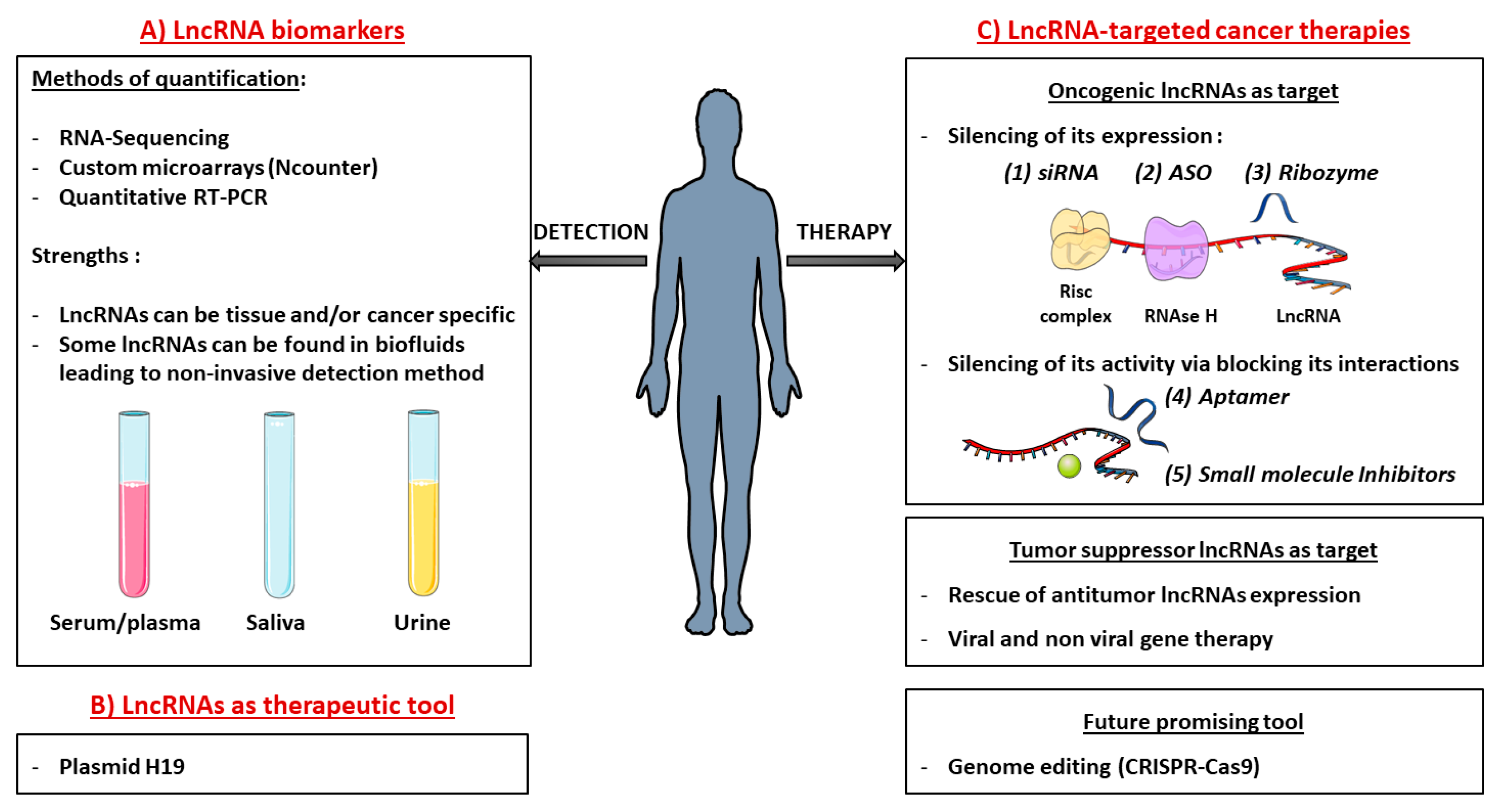 Cancers 11 01638 g003