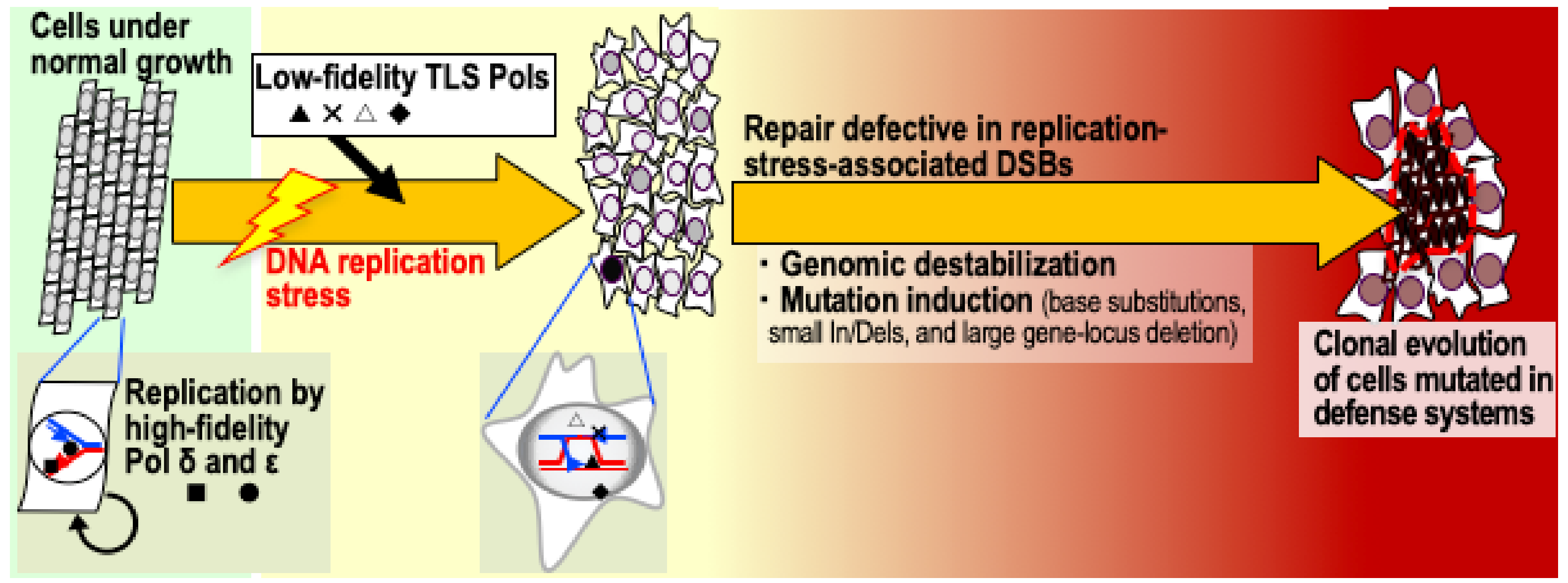 Cancers 11 01643 g001 Cancers 11 01643 g001