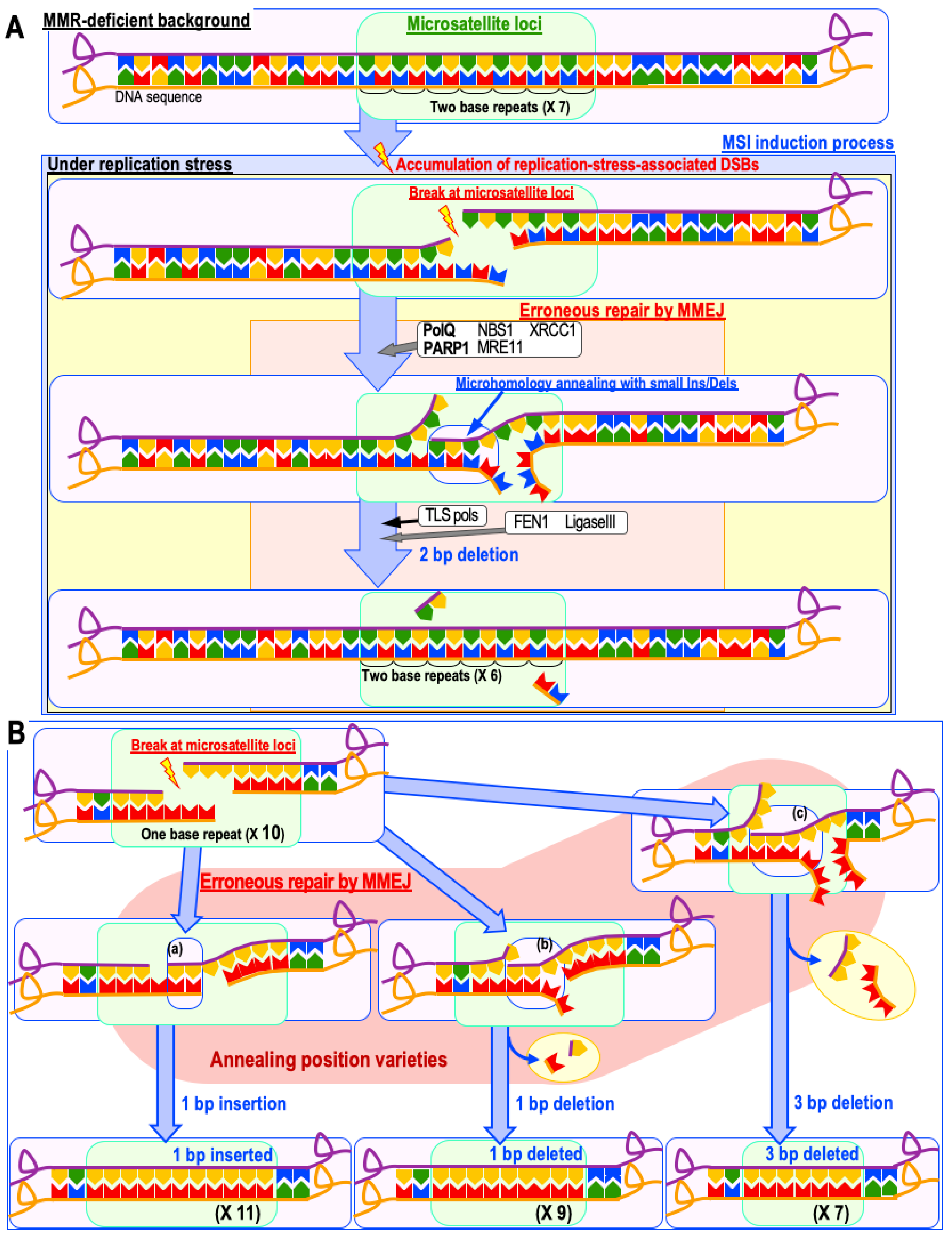 Cancers 11 01643 g003 Cancers 11 01643 g003