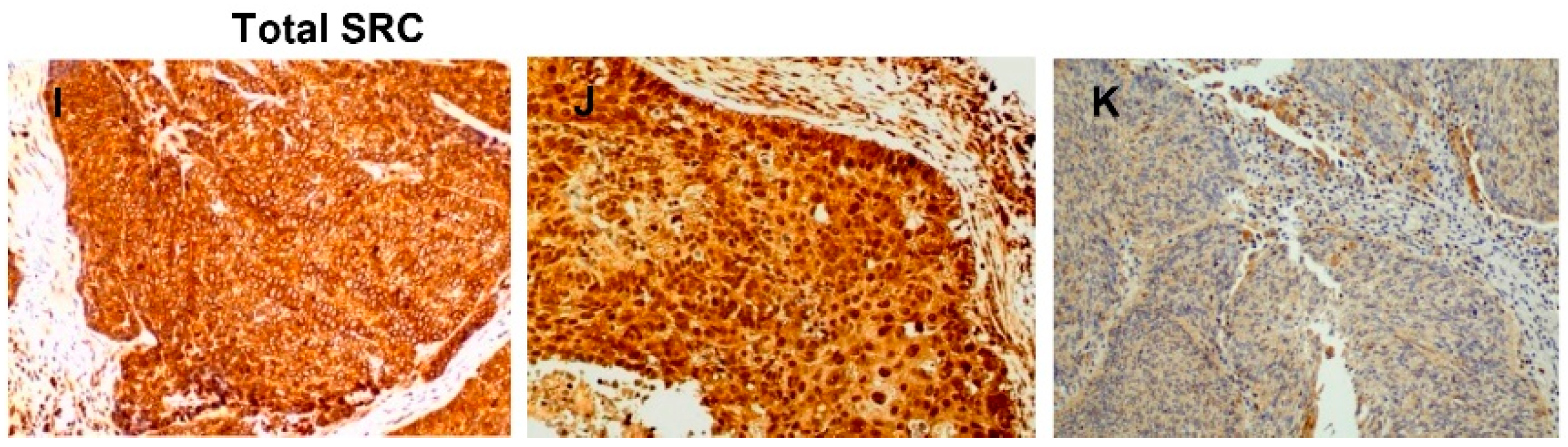 Cancers 11 01644 g001b Cancers 11 01644 g001b