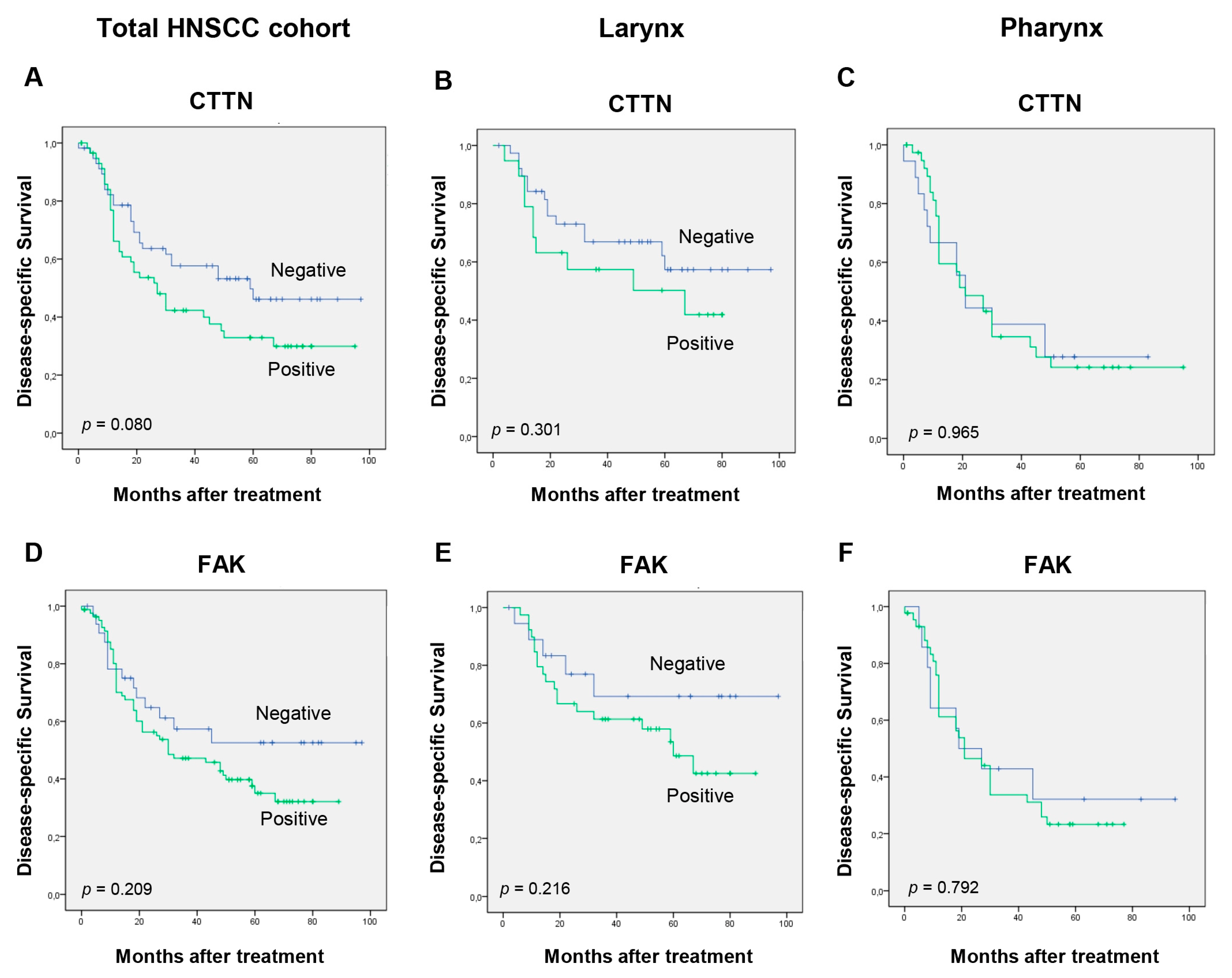 Cancers 11 01644 g004a Cancers 11 01644 g004a