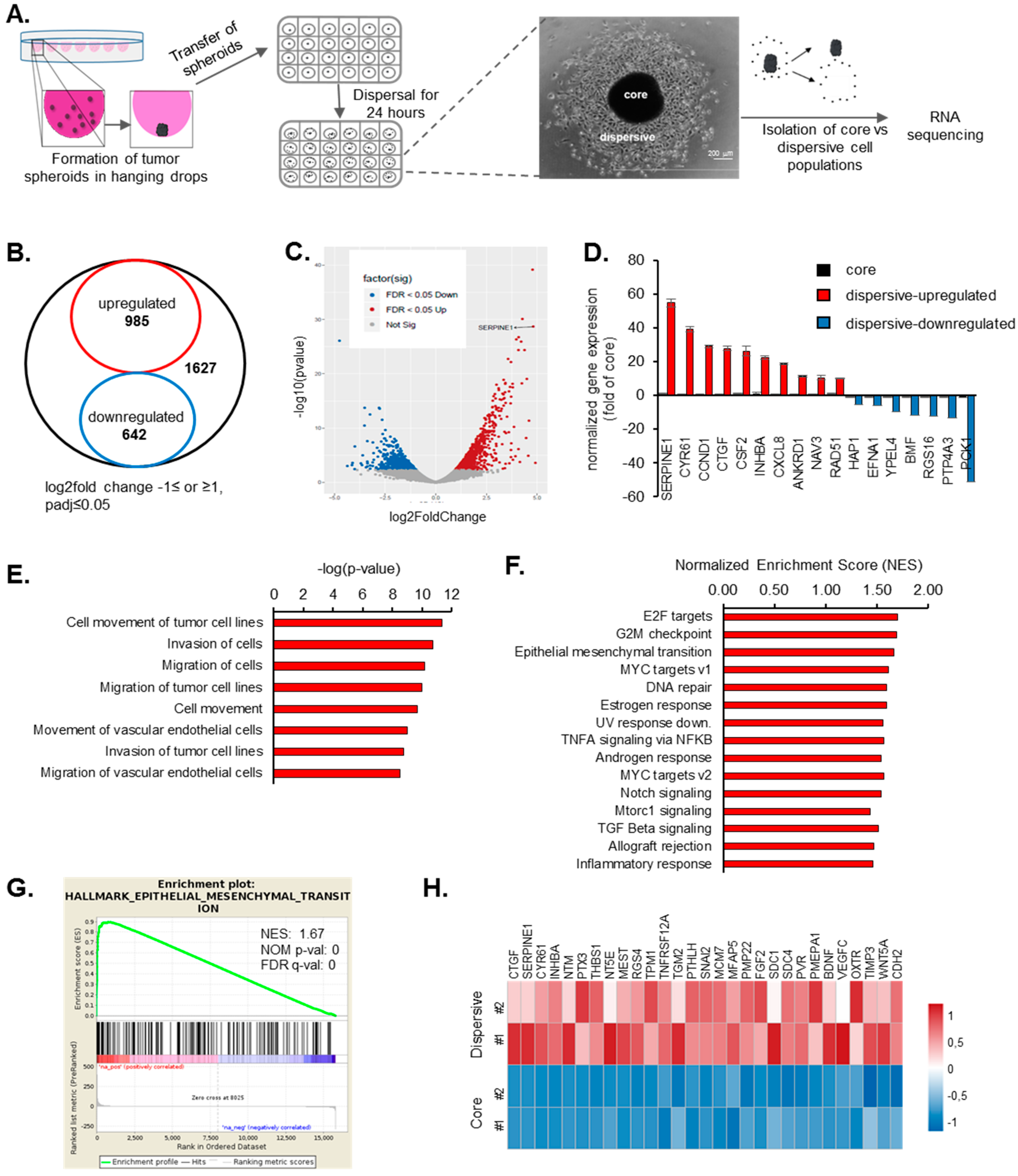 Cancers 11 01651 g001