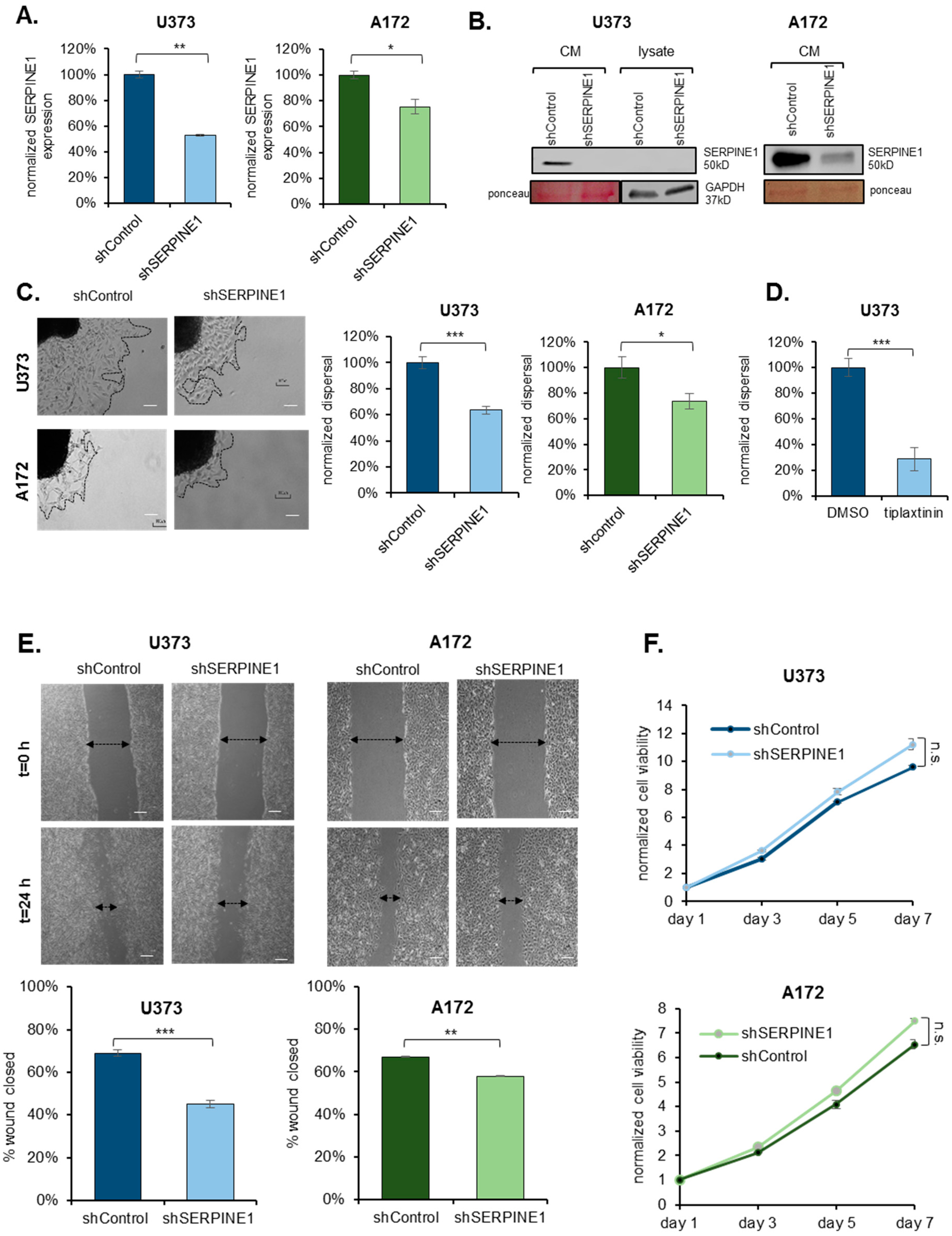 Cancers 11 01651 g002
