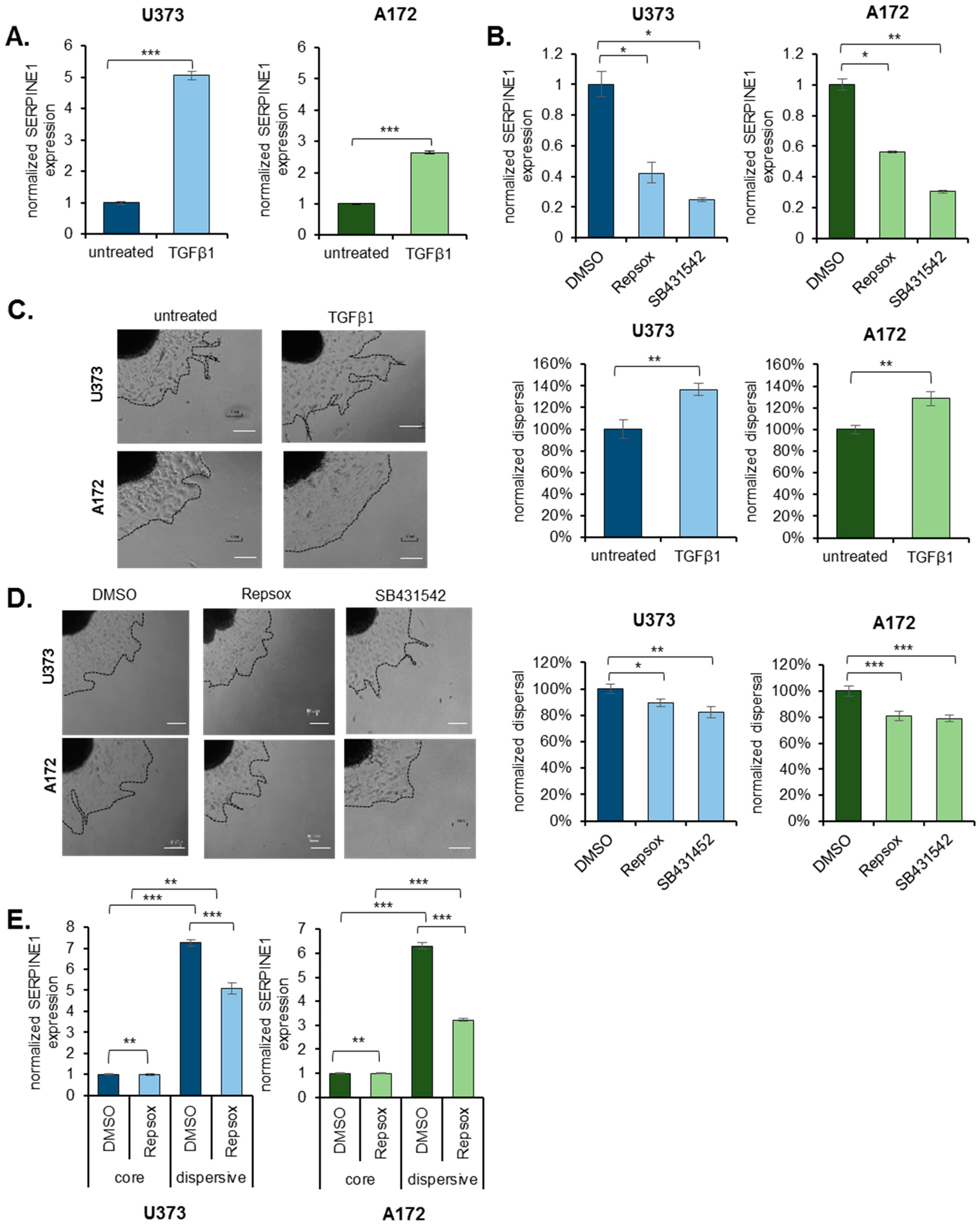 Cancers 11 01651 g004
