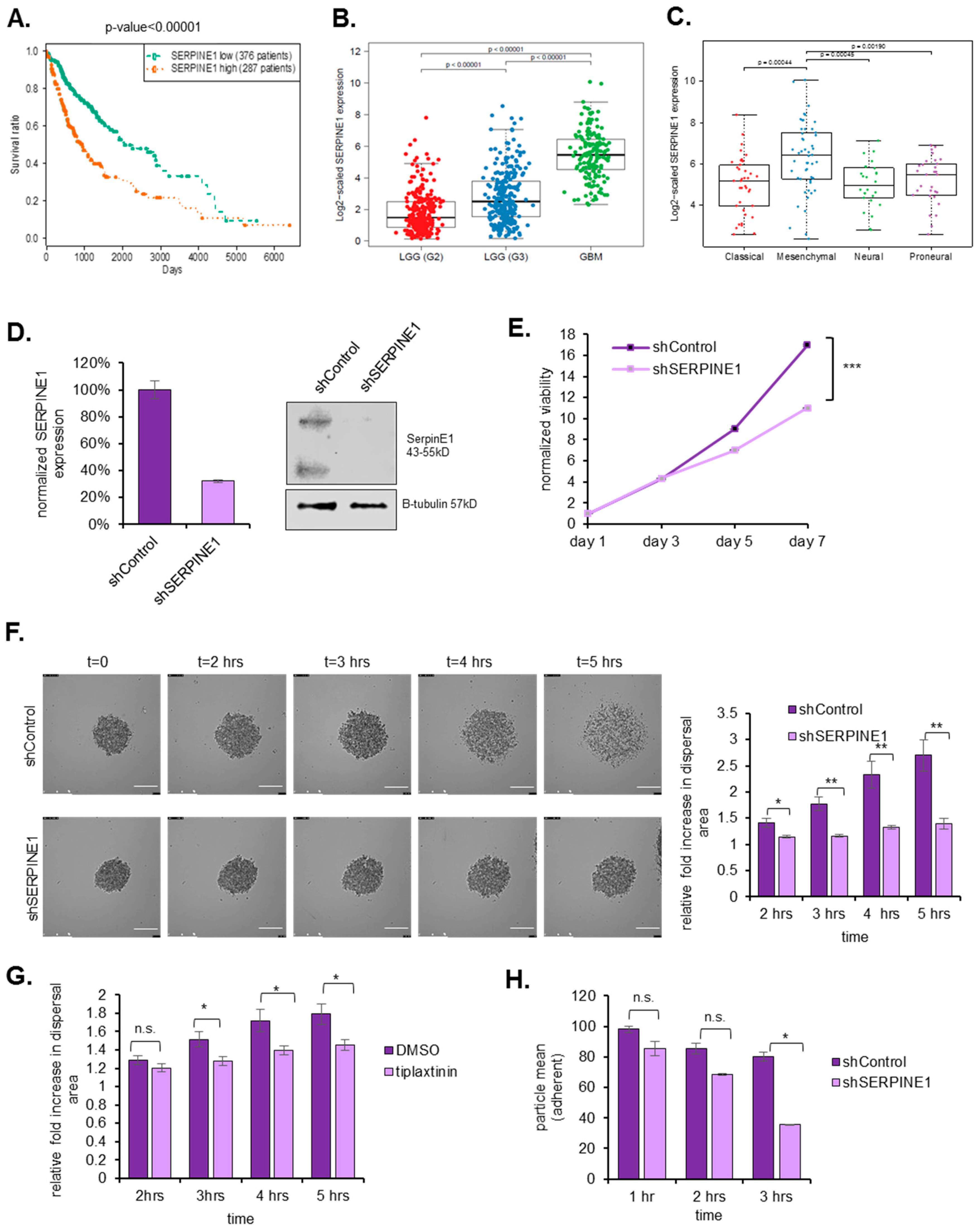 Cancers 11 01651 g005