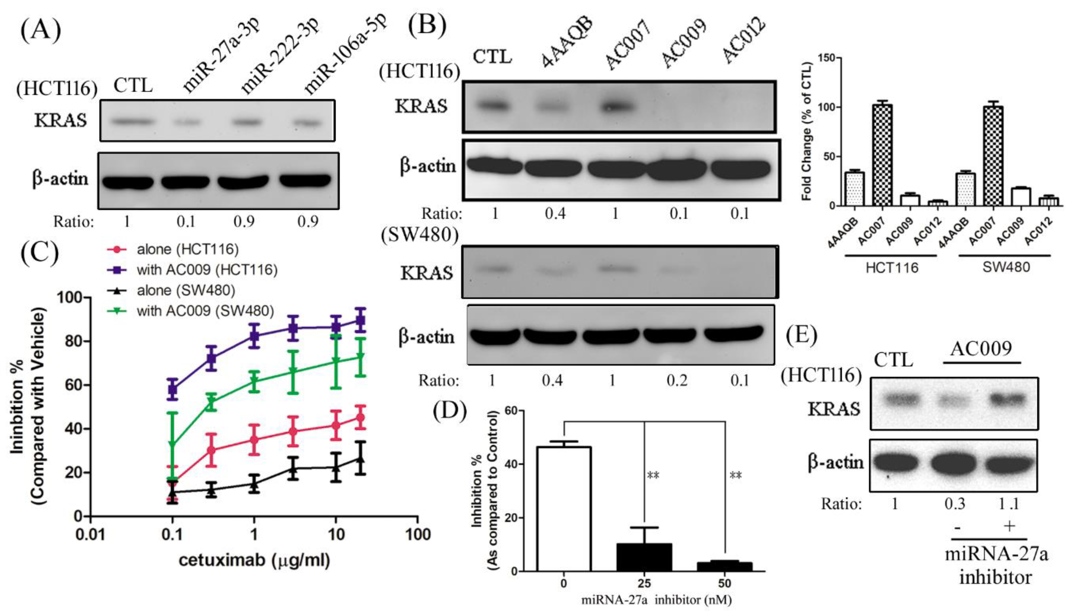 Cancers 11 01657 g005 Cancers 11 01657 g005