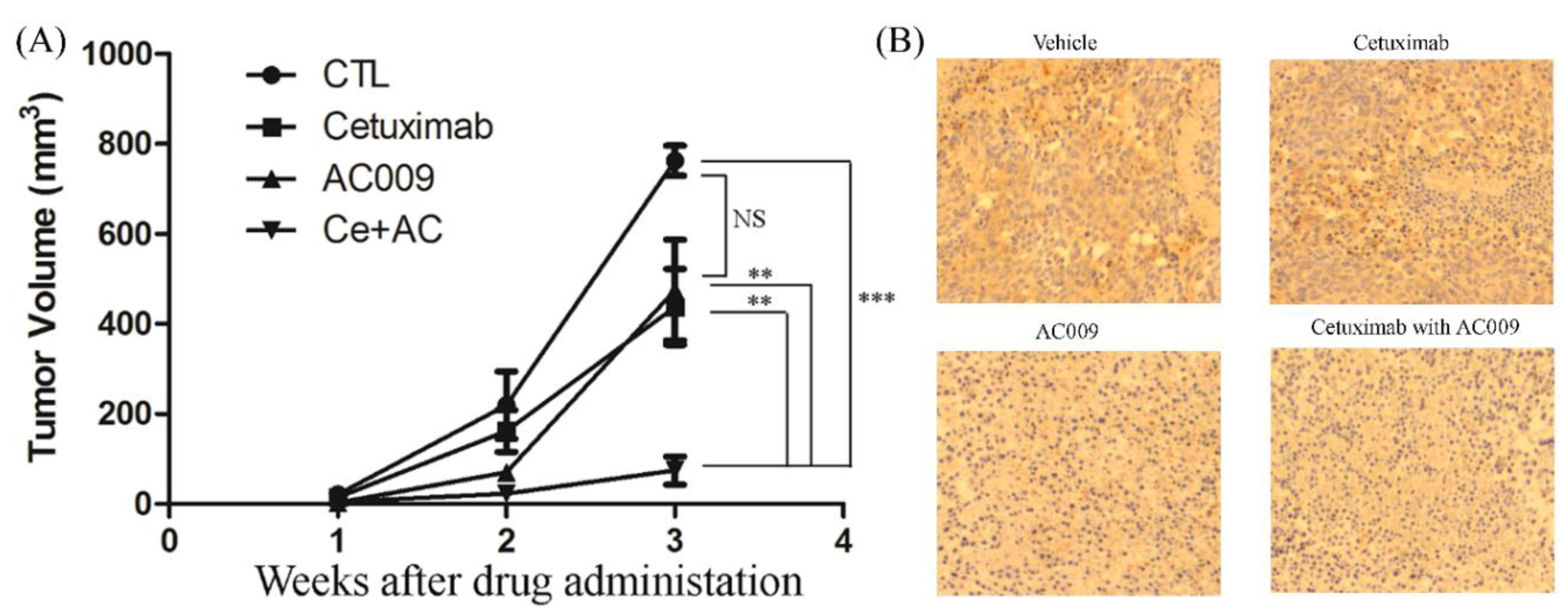 Cancers 11 01657 g006 Cancers 11 01657 g006