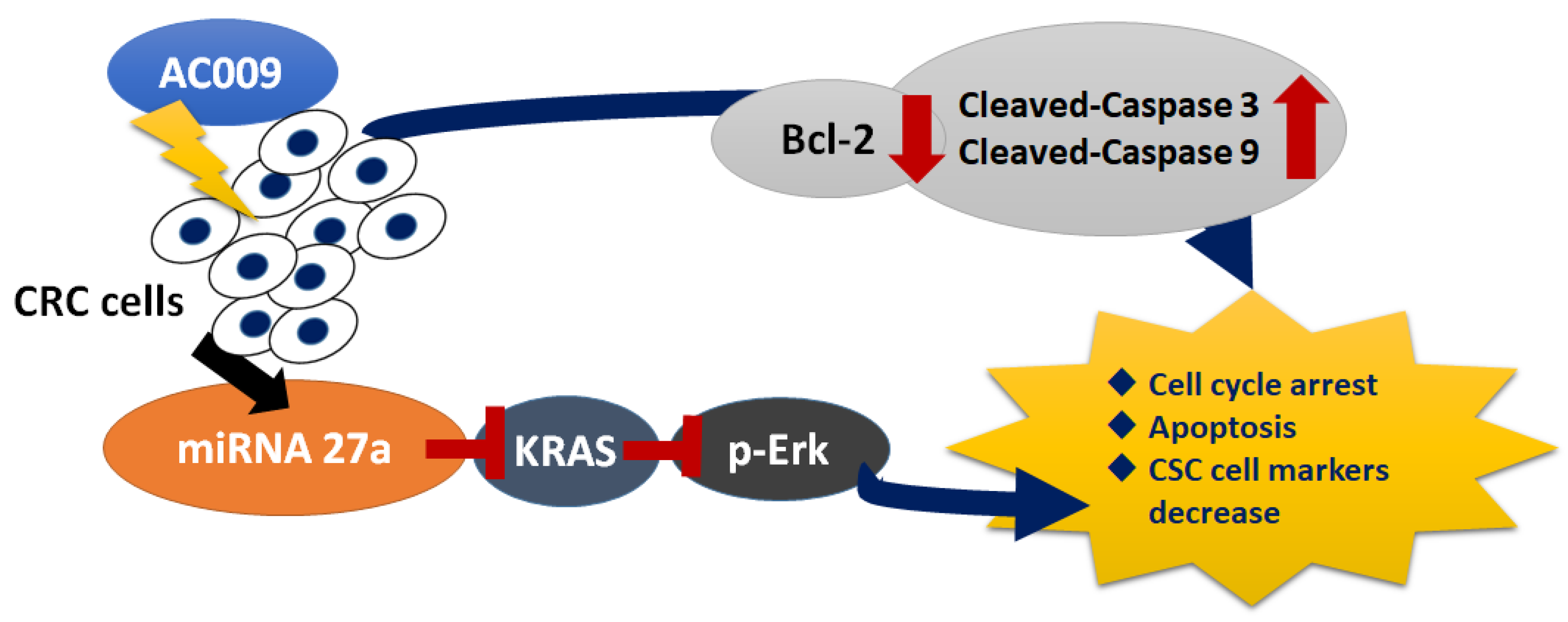 Cancers 11 01657 g008 Cancers 11 01657 g008