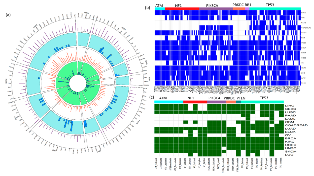 Cancers 11 01682 g002 Cancers 11 01682 g002