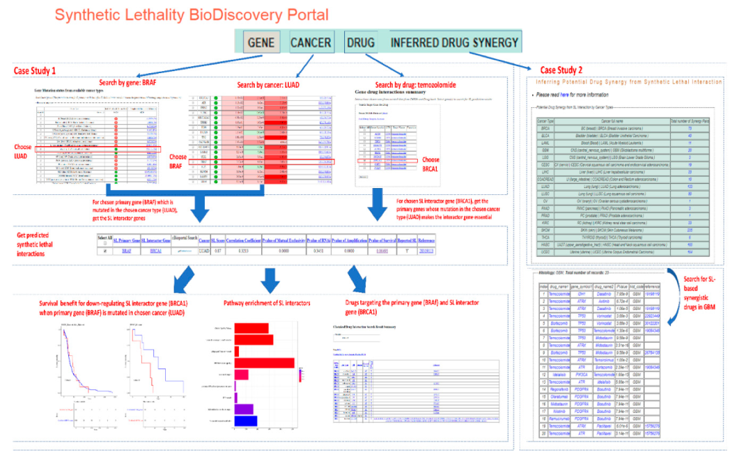 Cancers 11 01682 g003 Cancers 11 01682 g003