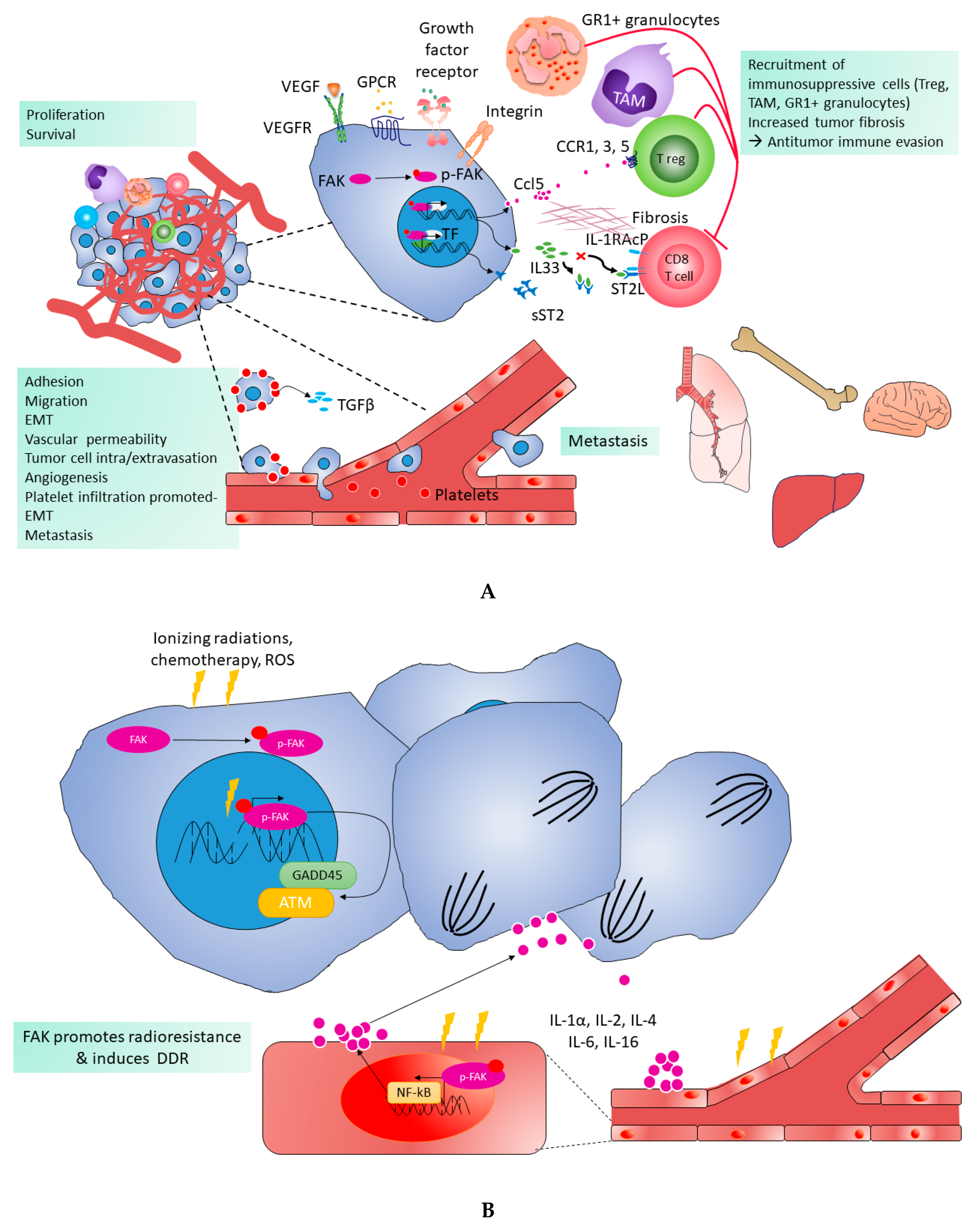Cancers 11 01683 g004