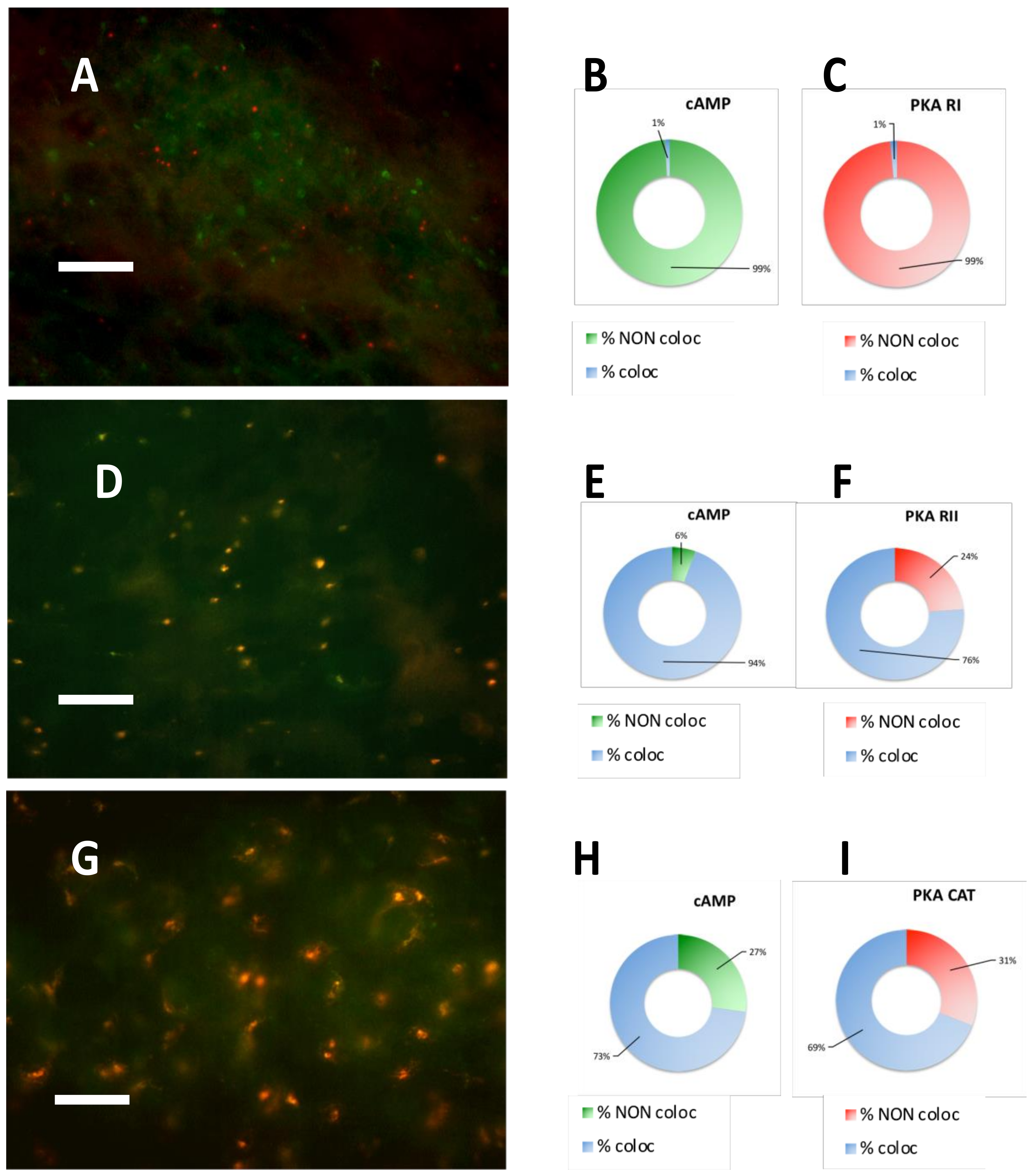 Cancers 11 01686 g003
