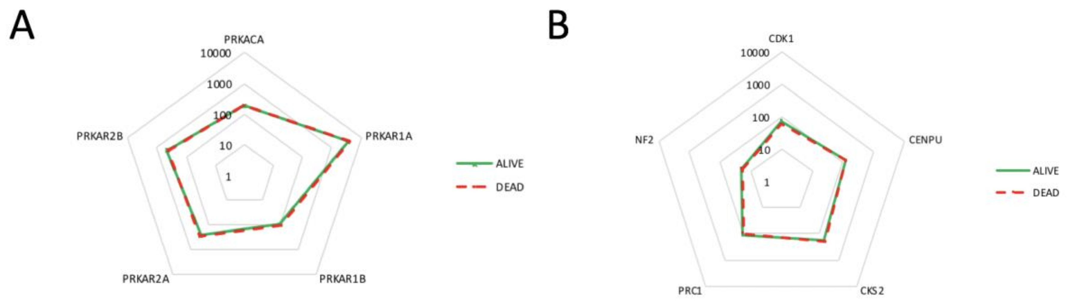 Cancers 11 01686 g005