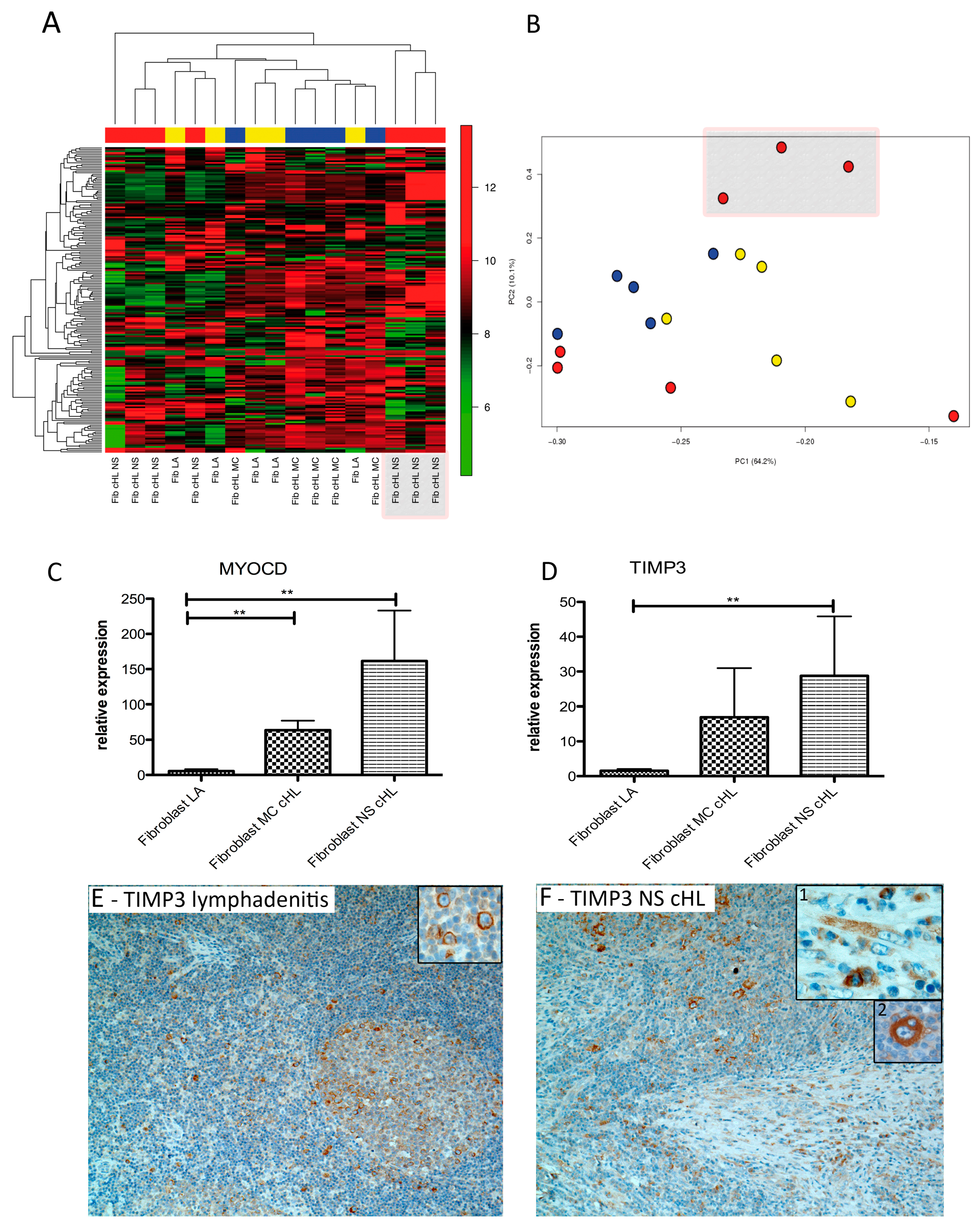 Cancers 11 01687 g001