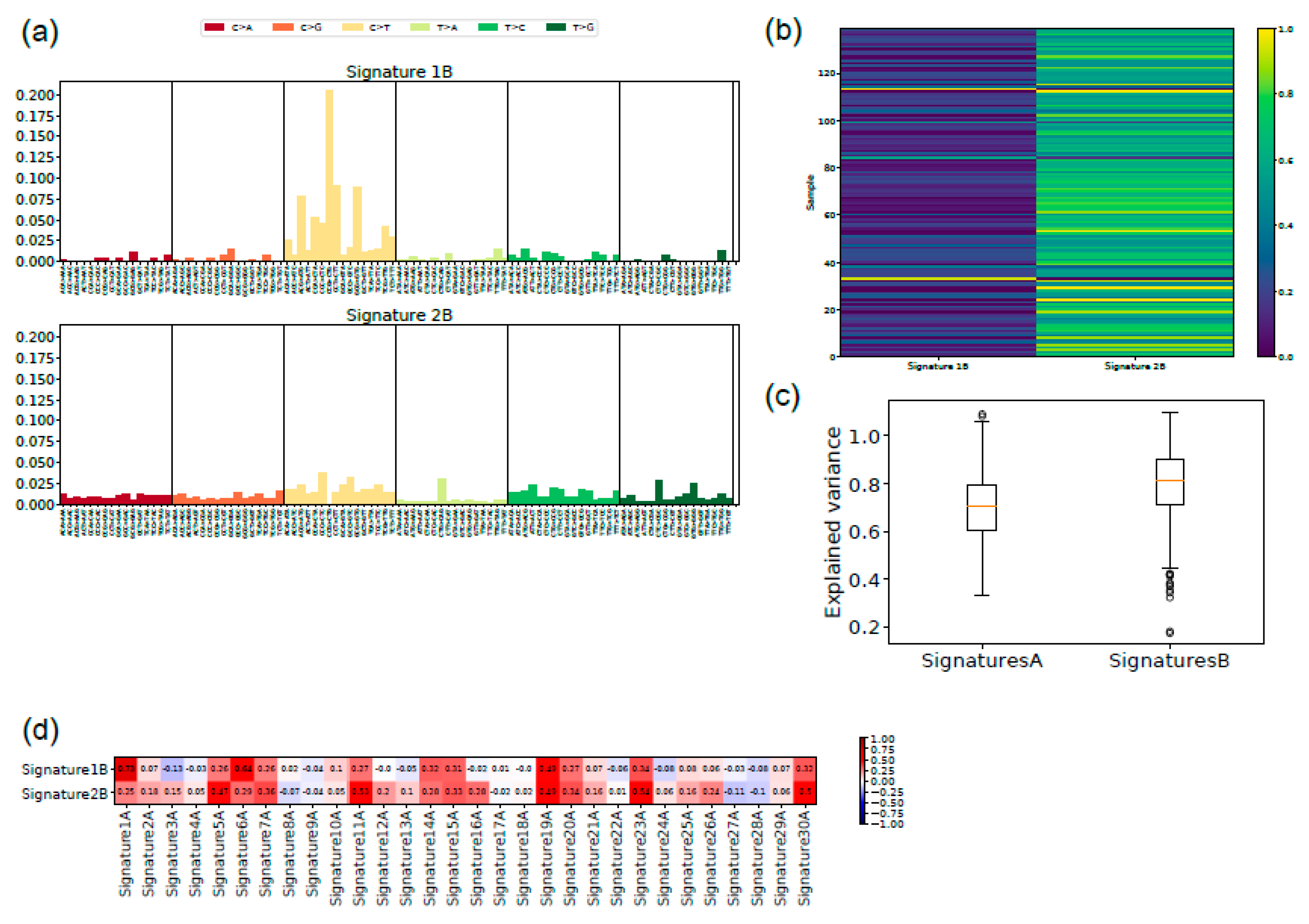 Cancers | Free Full-Text | Secondary Somatic Mutations in G 