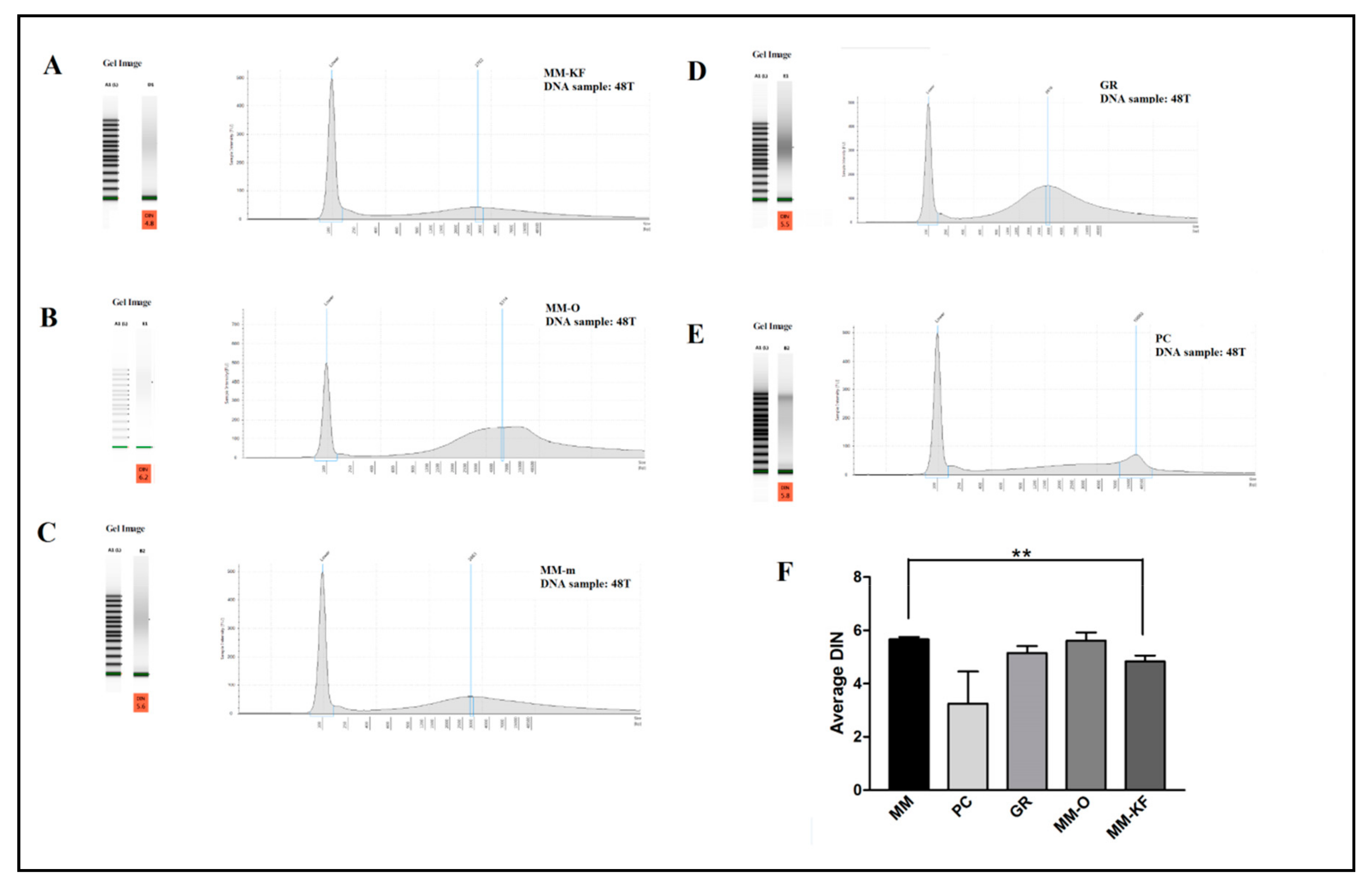 Cancers 11 01691 g001