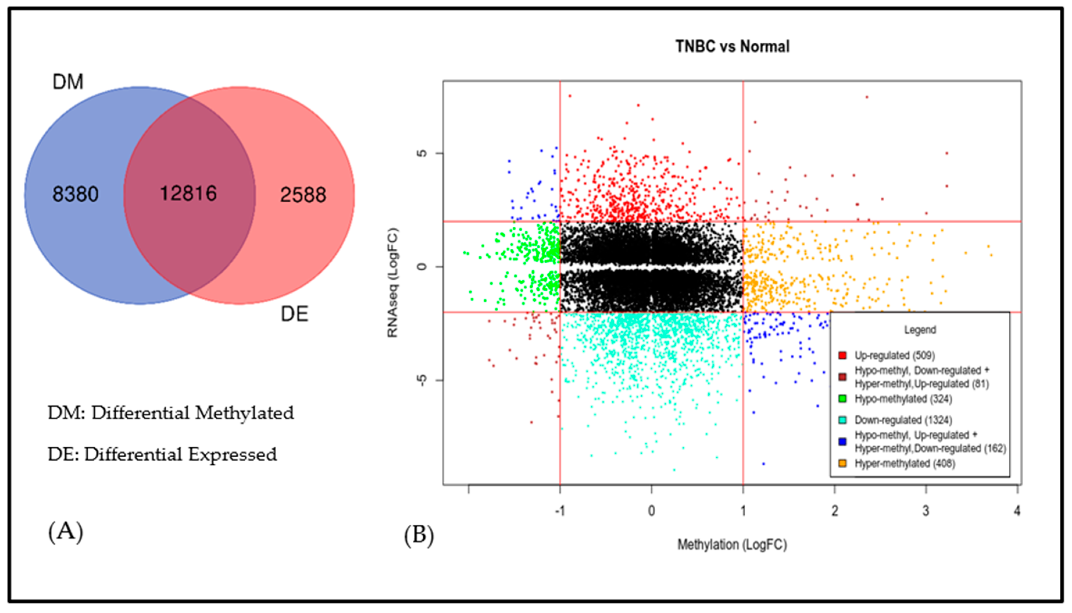 Cancers 11 01692 g002