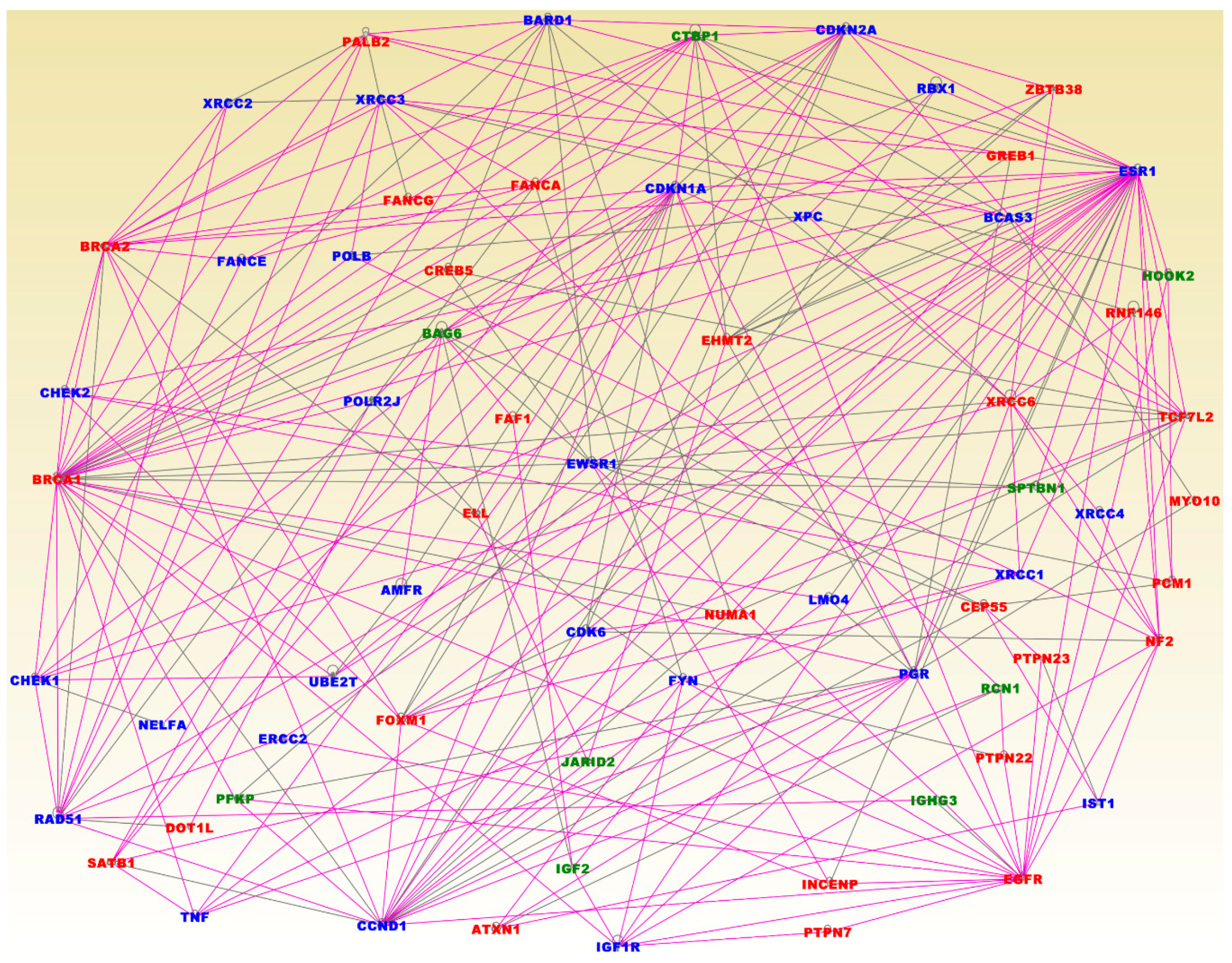 Cancers 11 01692 g005