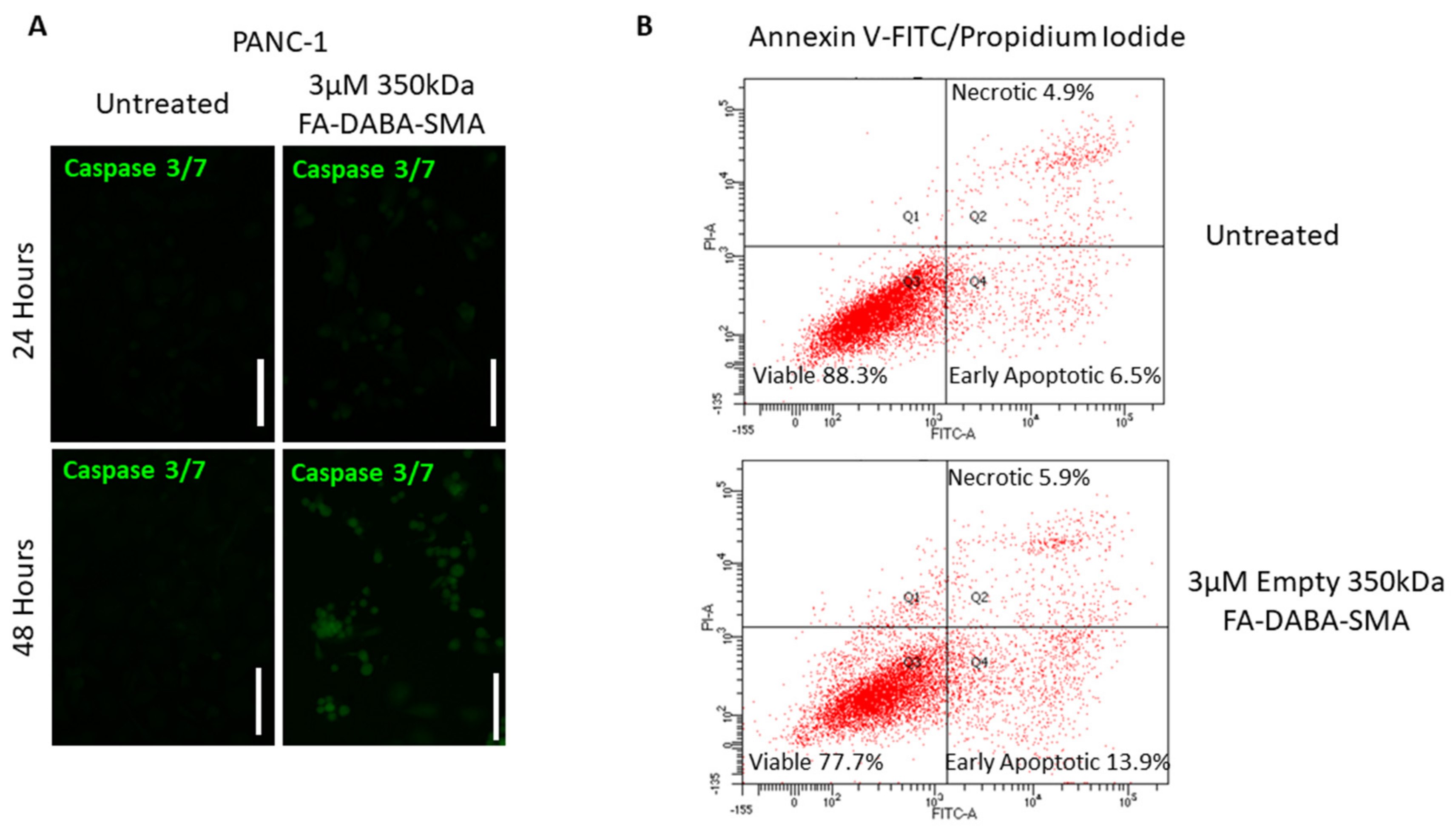 Cancers 11 01698 g007