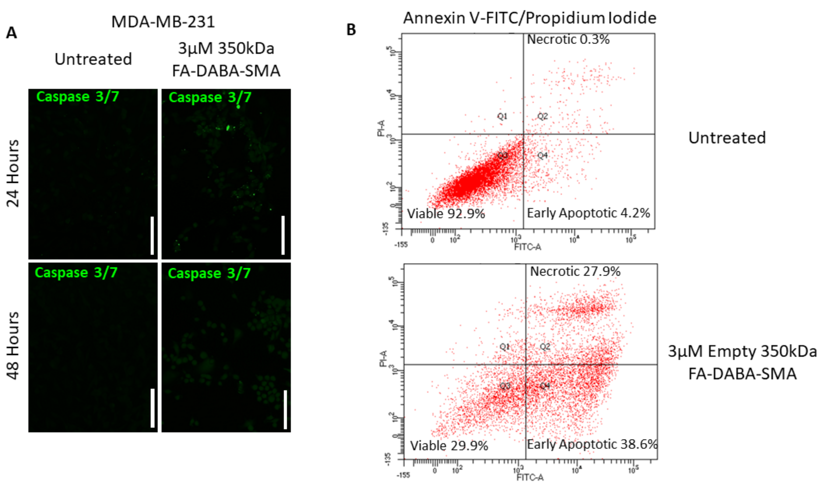 Cancers 11 01698 g008
