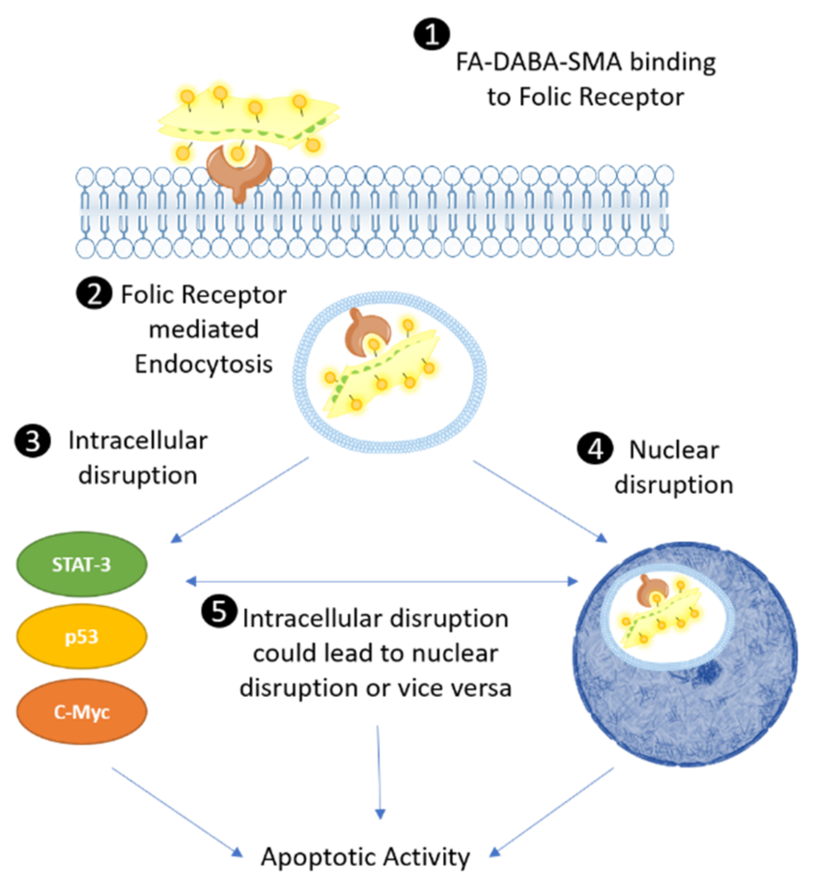 Cancers 11 01698 g009