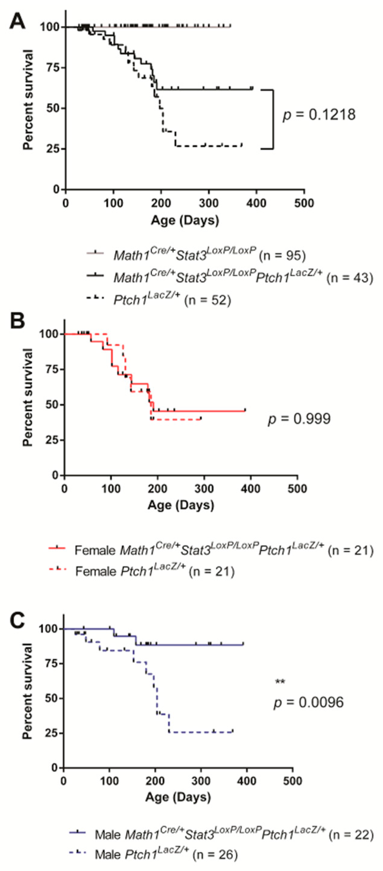 Cancers 11 01702 g002