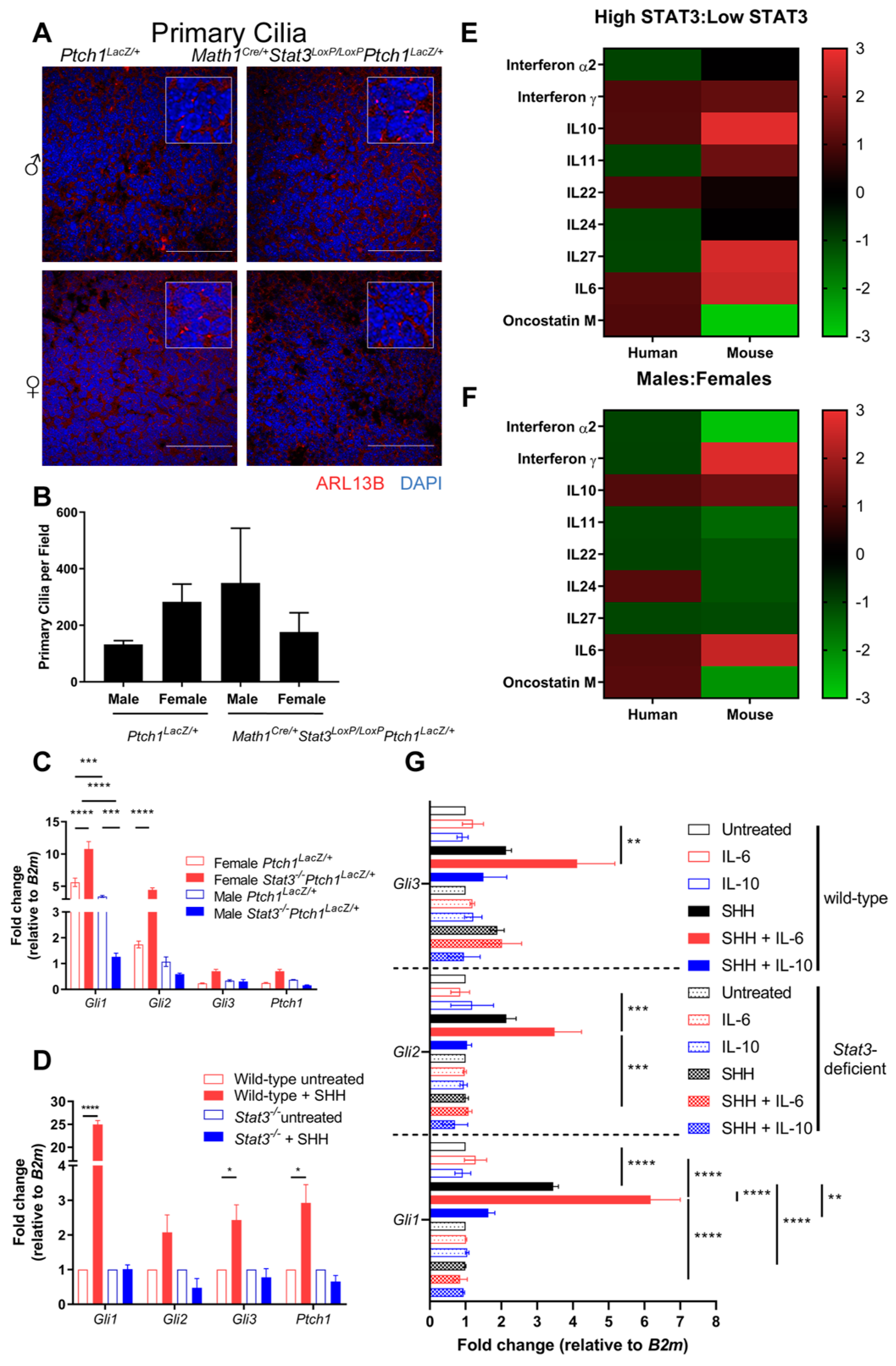 Cancers 11 01702 g004