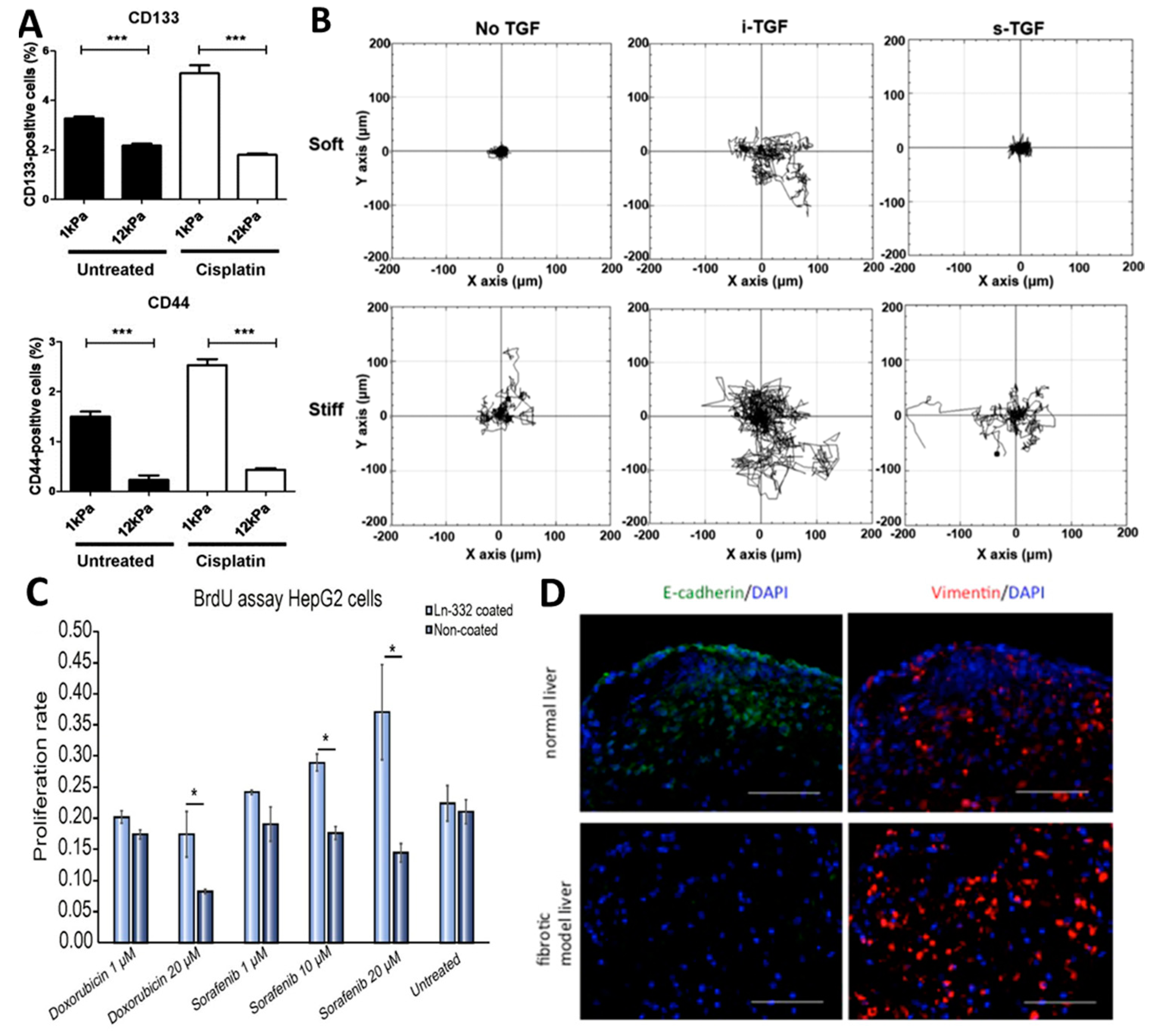 Cancers 11 01706 g002