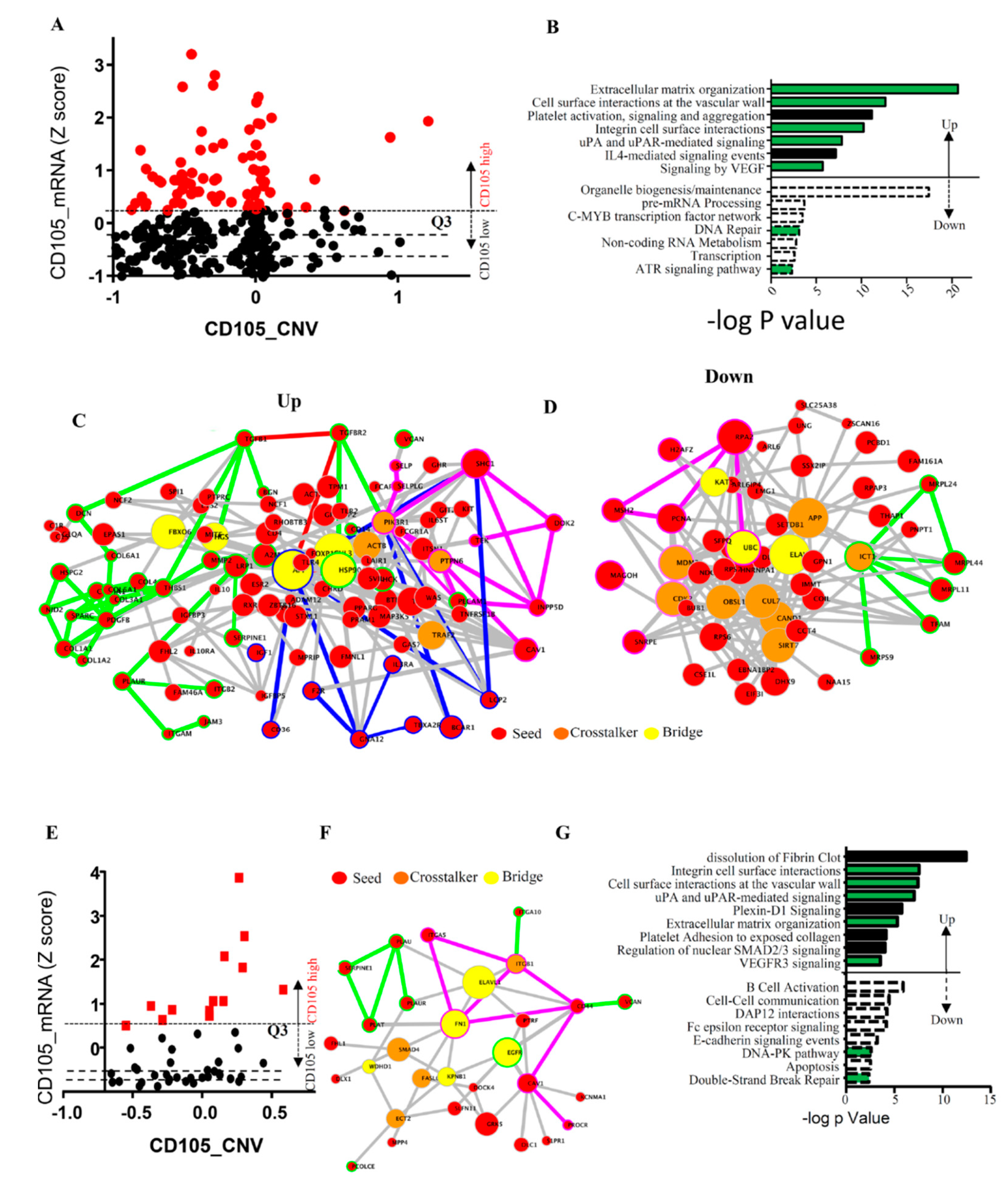 Cancers 11 01710 g002