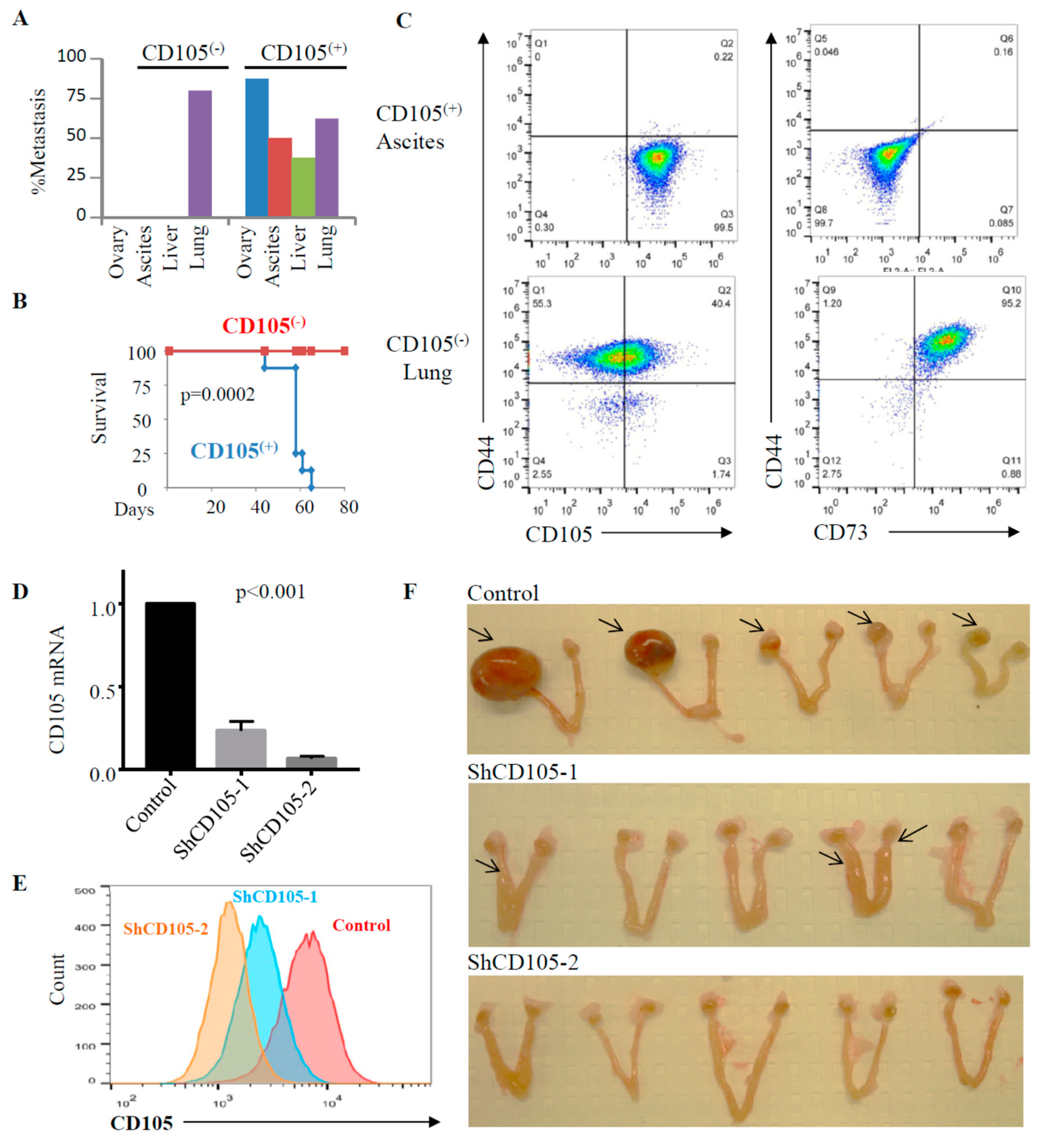 Cancers 11 01710 g004